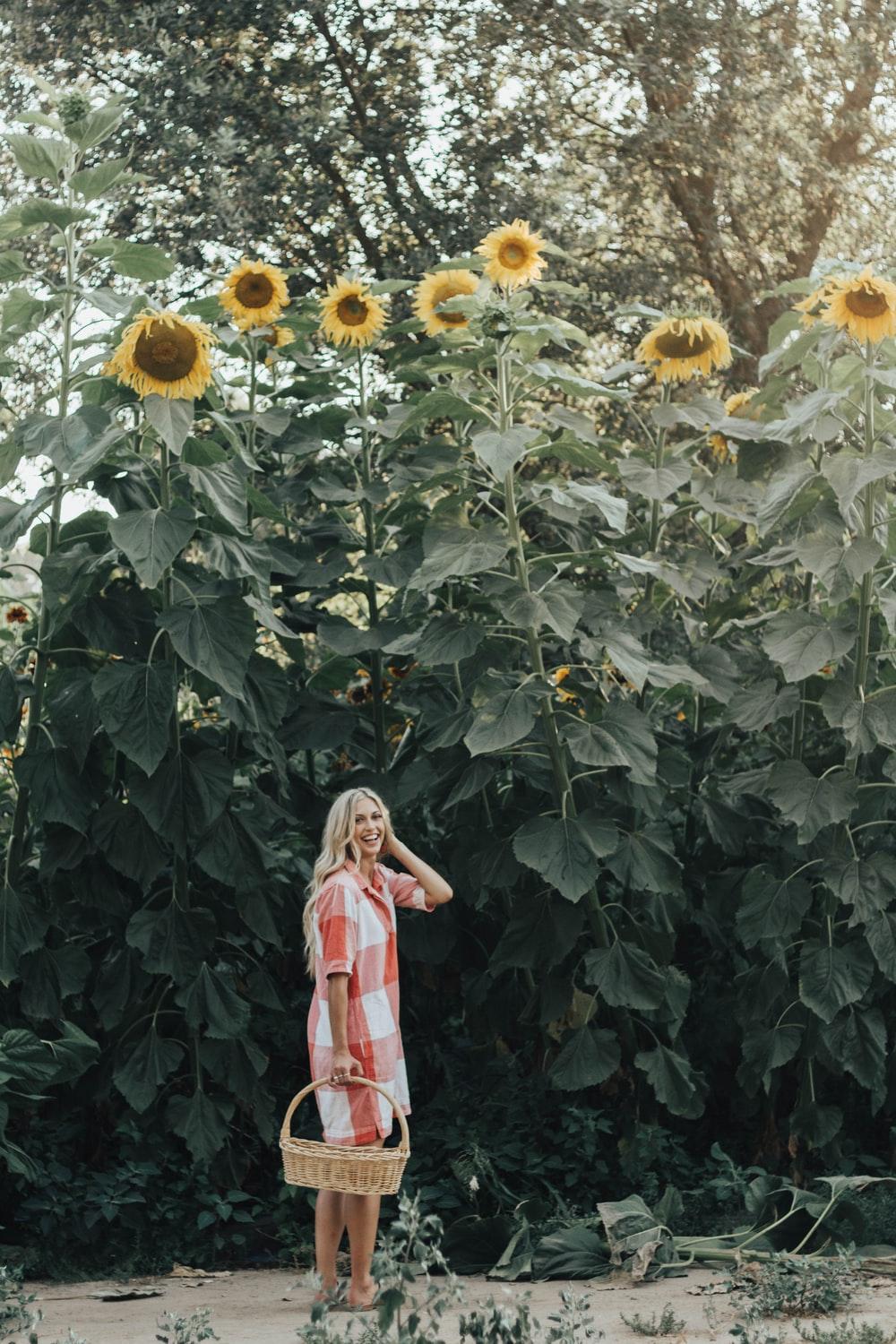 Girl With Sunflower Picture. Download Free Image