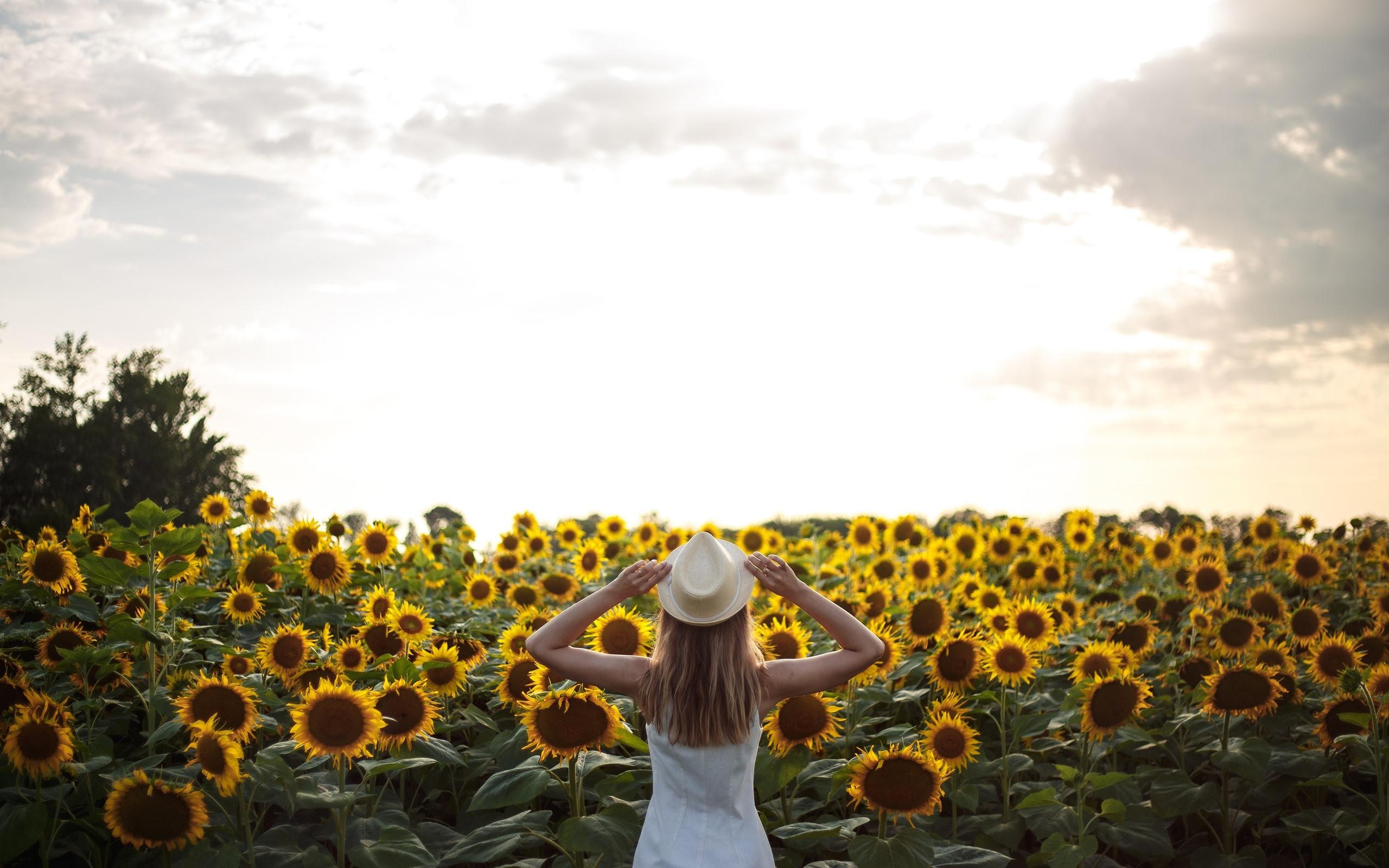 Sunflower Girl Wallpapers - Wallpaper Cave