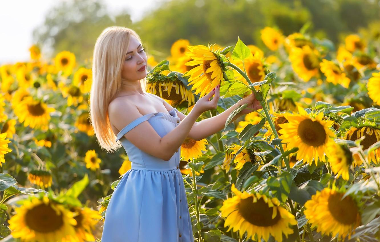 Wallpaper field, summer, girl, sunflowers, mood, blonde, Elena