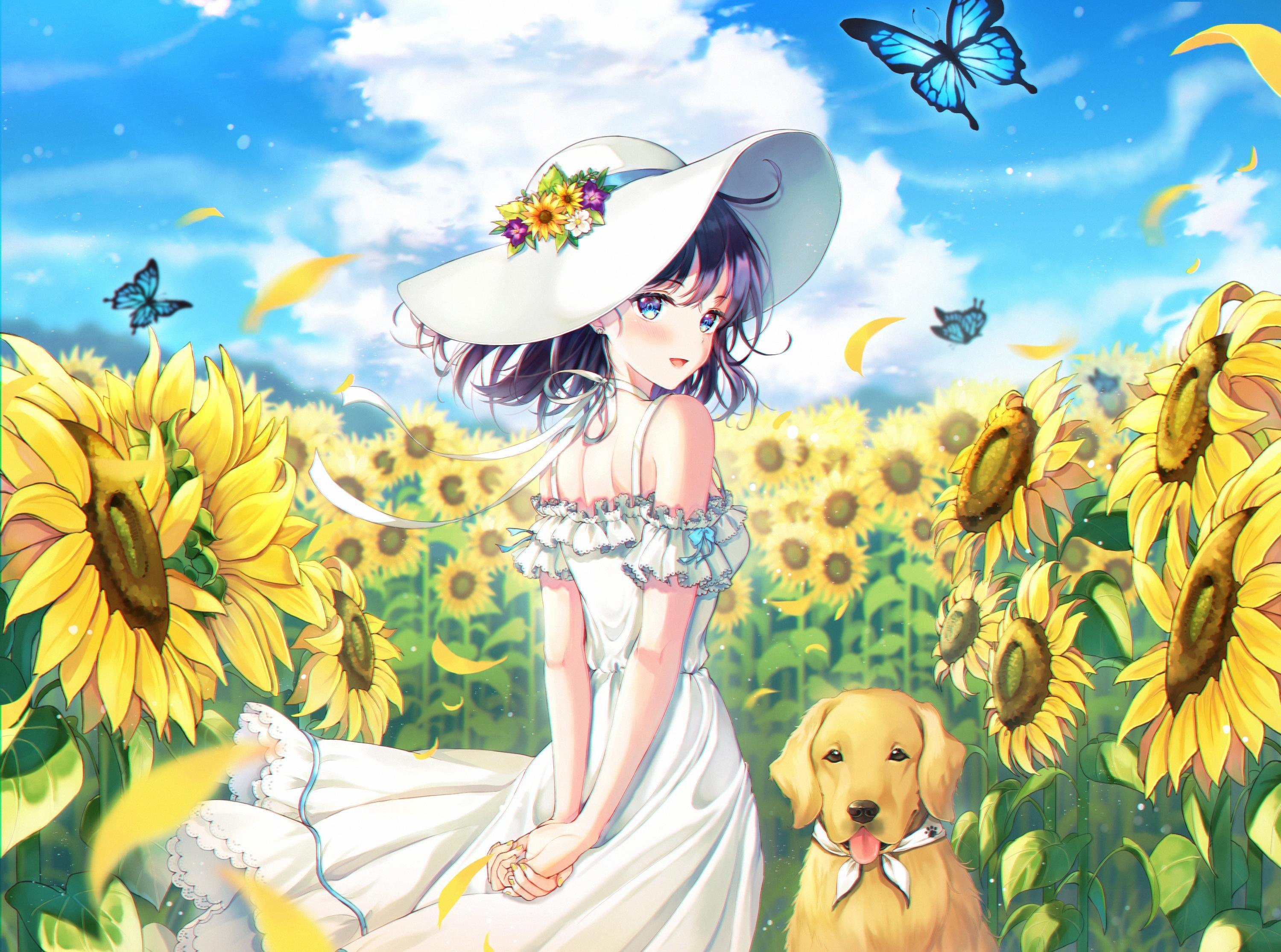 Download 3000x2230 Anime Girl, Summer Dress, Dog, Sunflower Field