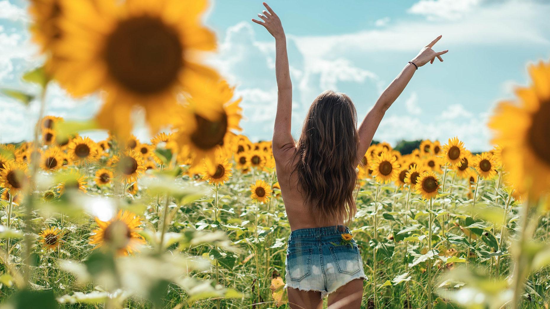 Girl In Sunflower Field, Download Wallpaper