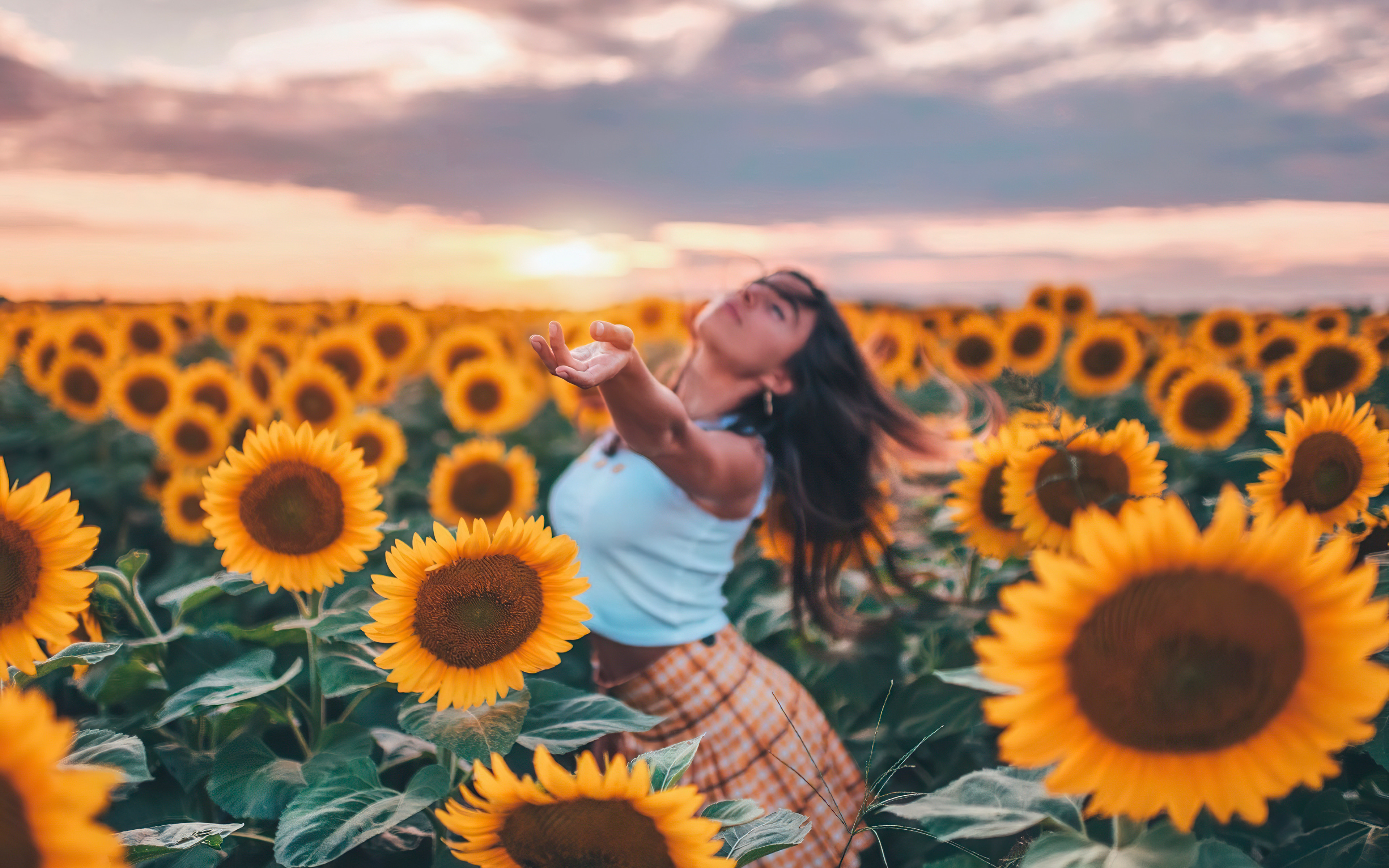 Girl in field of sunflowers Wallpaper 4k Ultra HD