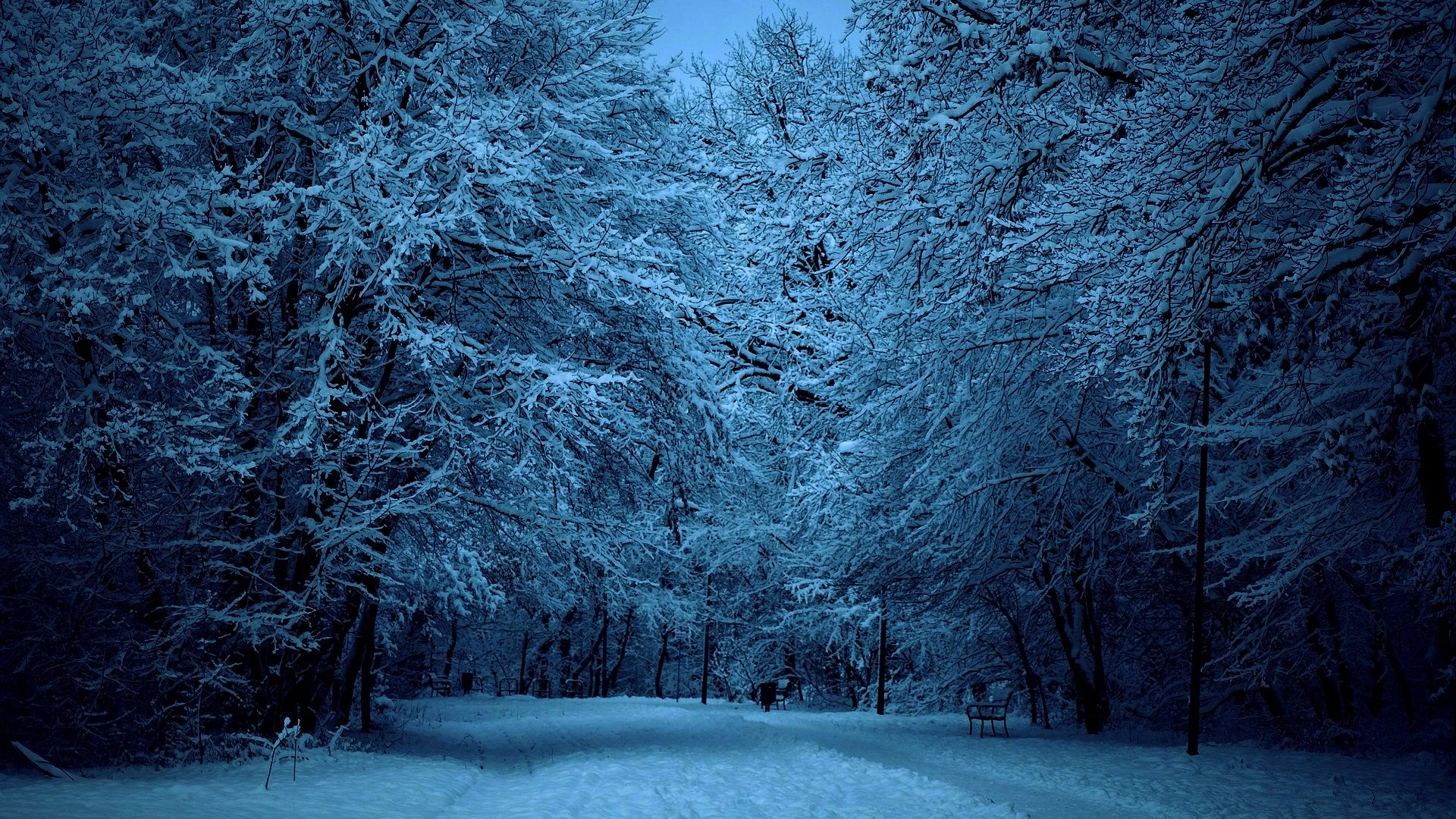 Snow Covered Winter Street At Dusk HD Wallpaper. Background Image