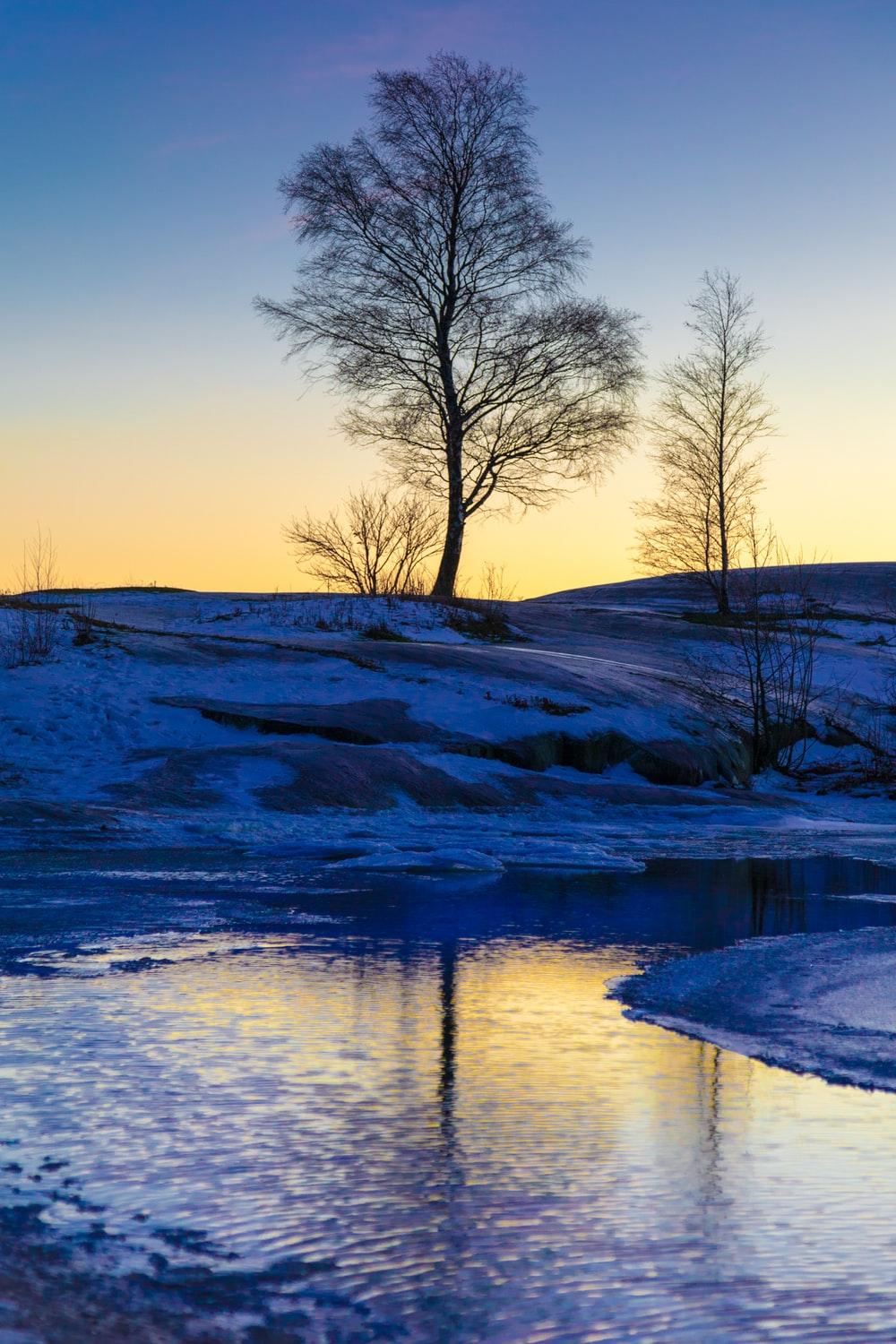 Winter Sunset Picture. Download Free Image