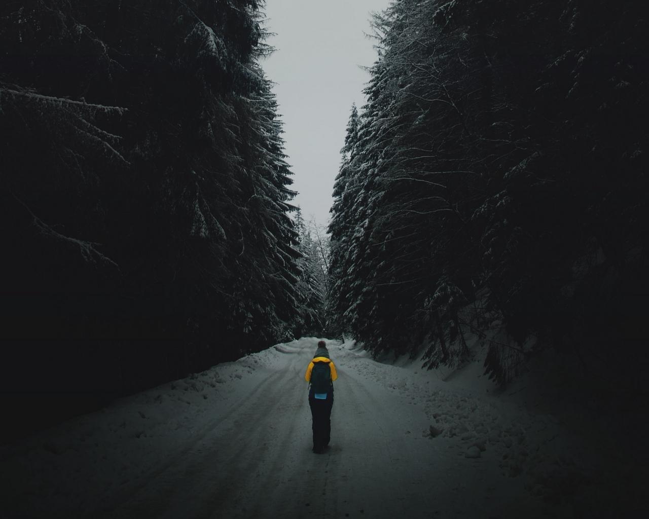 Download wallpaper 1280x1024 forest, road, silhouette, snow