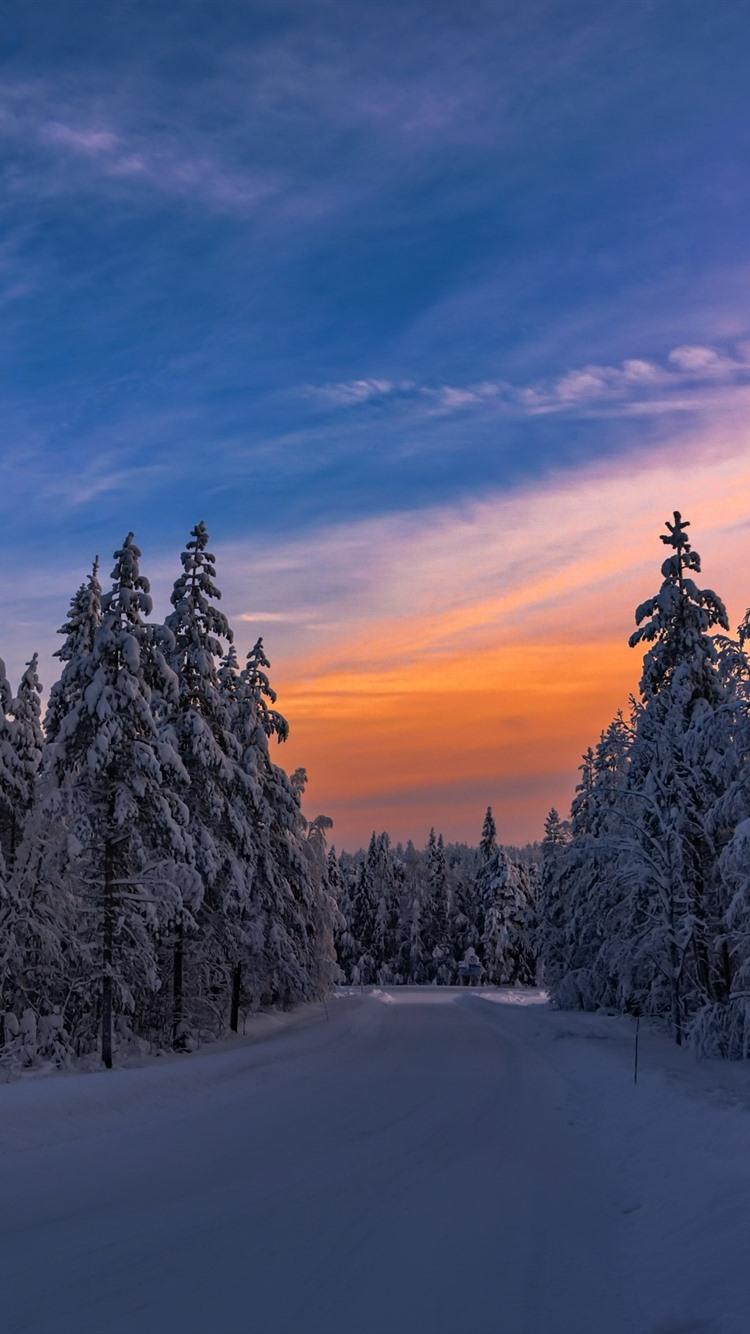 Wallpaper Winter, dusk, trees, snow, cold 2560x1600 HD Picture, Image