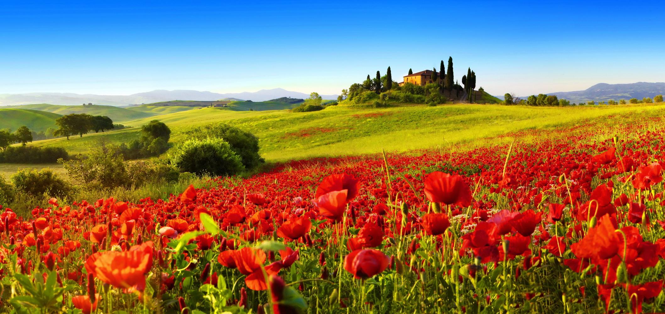Toscana Wallpaper & Background Download