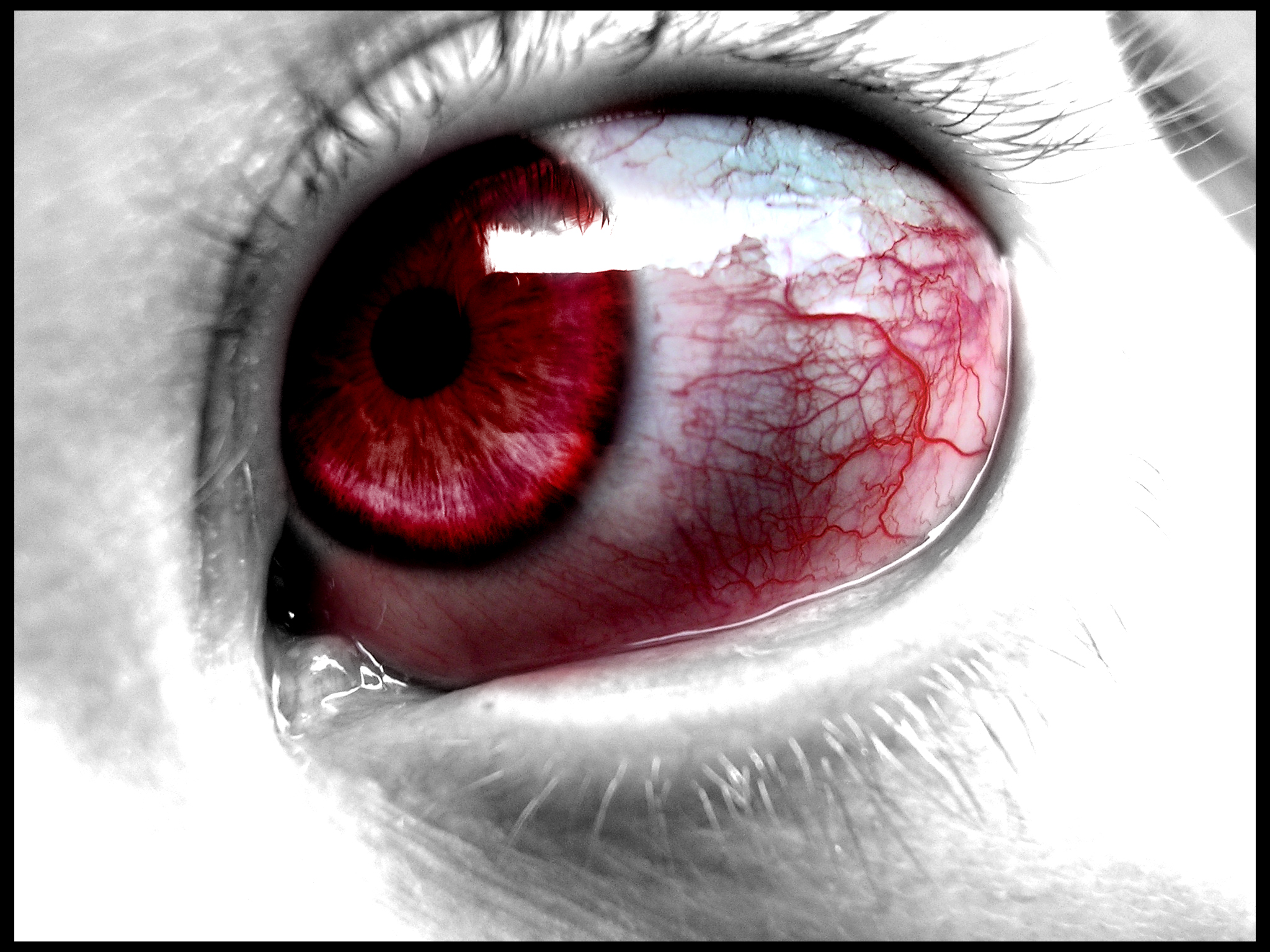 blood, Eye, Eyes, Dark, Vampire, Vampires, Fantasy Wallpaper HD