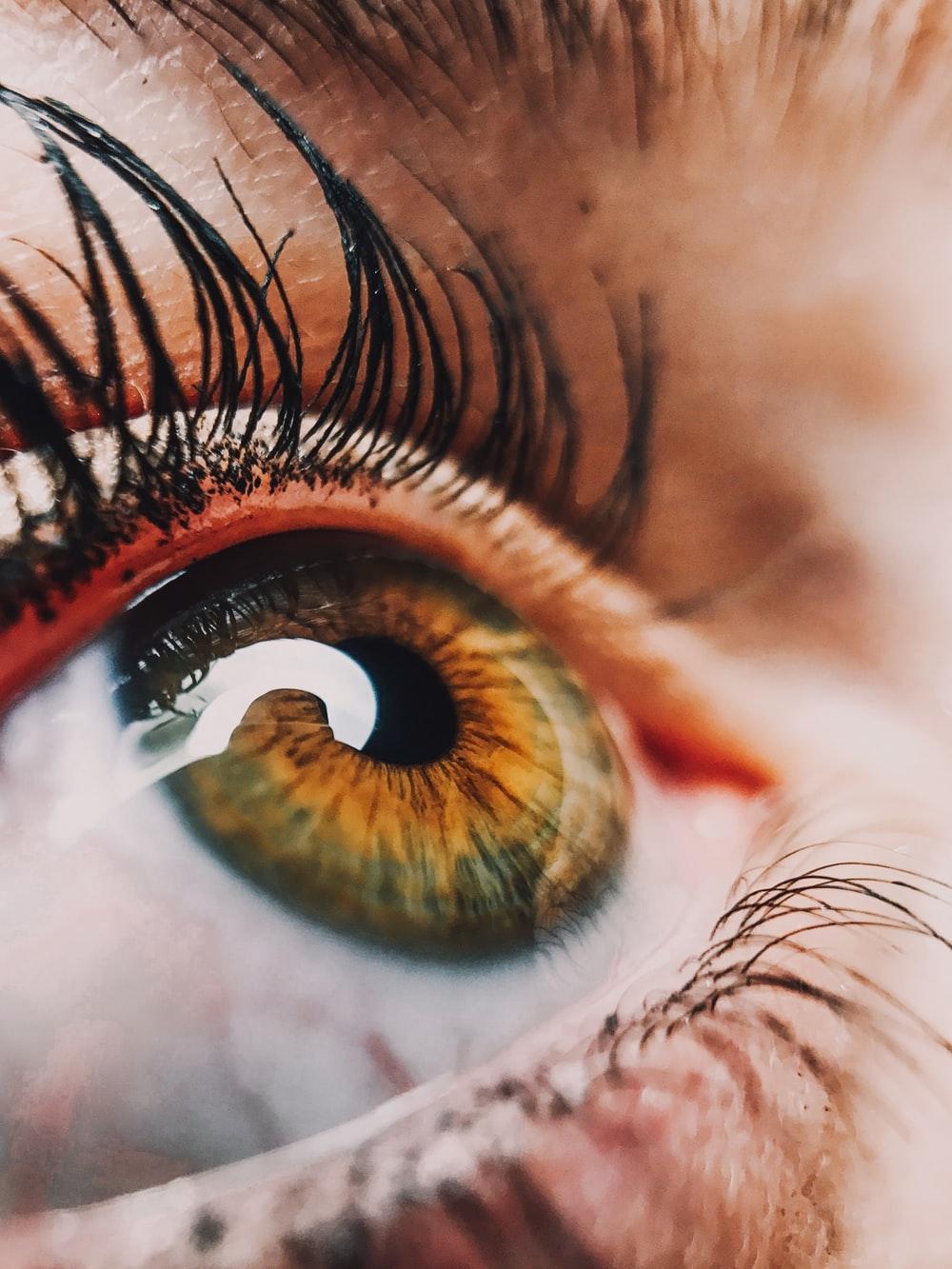 Eye Picture [HD]. Download Free Image