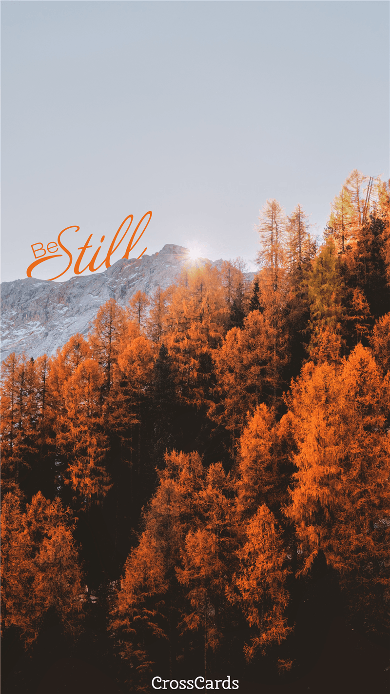 Be Still Fall Leaves Wallpaper and Mobile Background