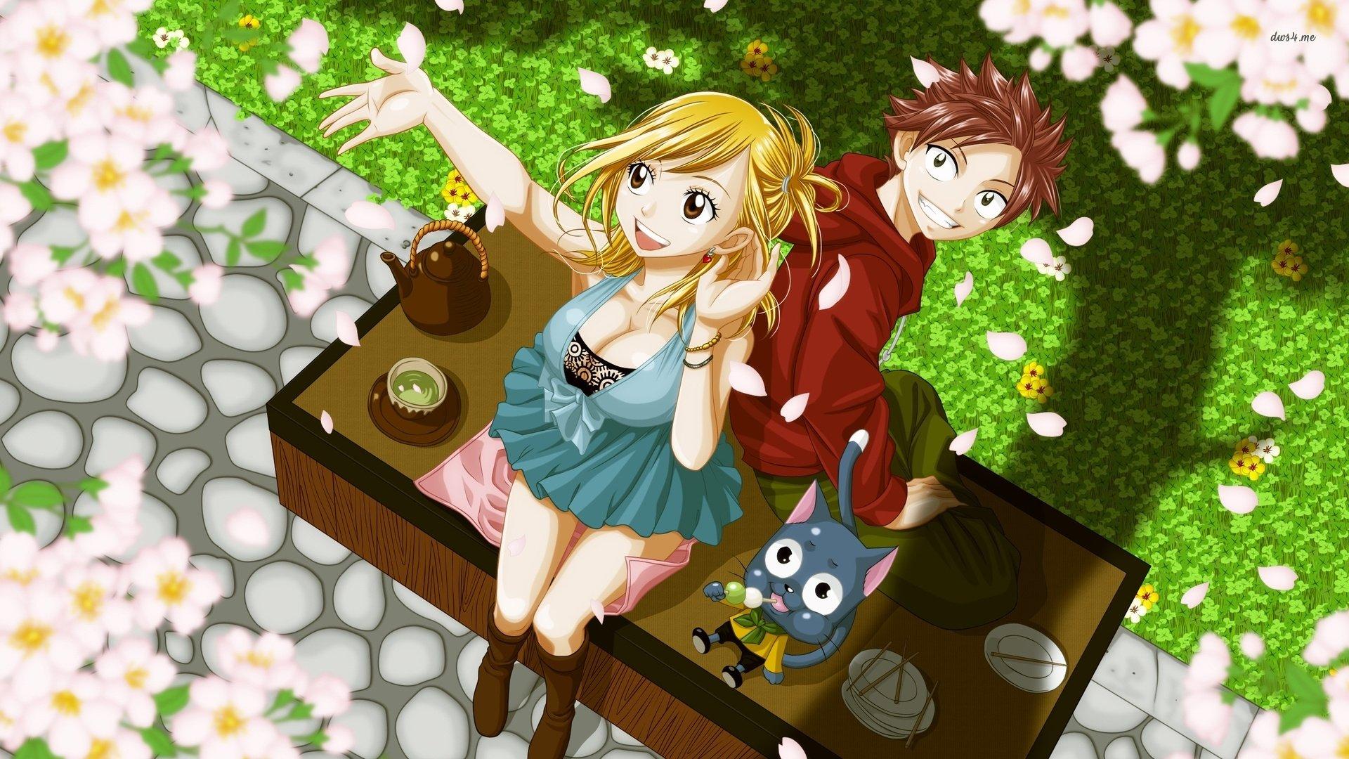 Fairy Tail Natsu And Lucy Wallpaper Full HD Tail Natsu