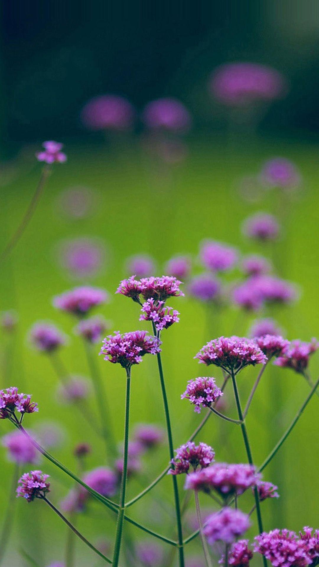 Sony Xperia Z2 Wallpaper Hd, Xperia Z And Xperia Z1 Mobile