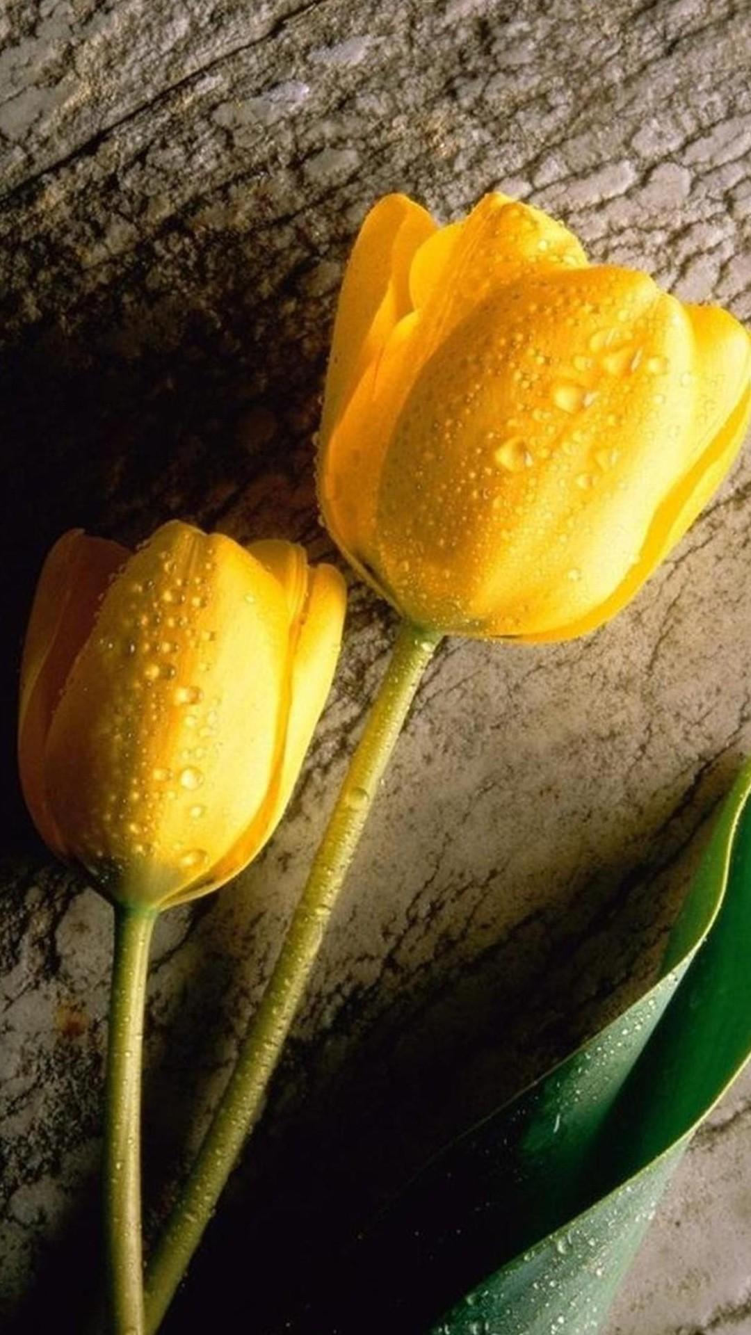 Micromax Wallpaper HD, image collections of wallpaper