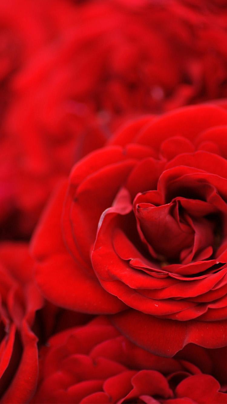 Wallpaper For Micromax Canvas HD, Picture