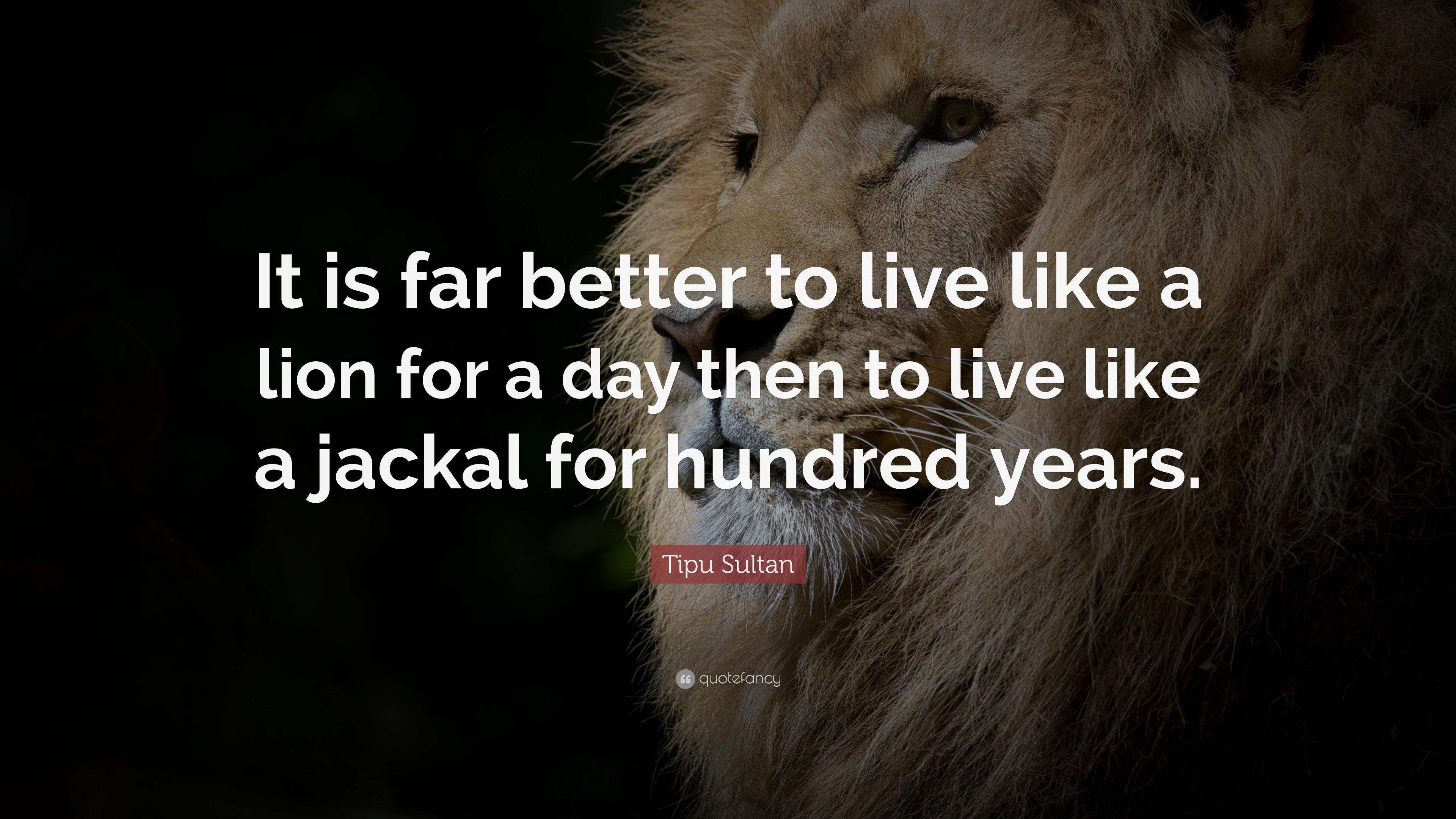 Tipu Sultan Quote: “It is far better to live like a lion for a day