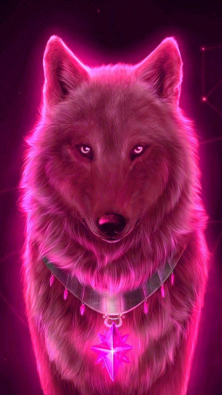 Download Red wolf Wallpaper by georgekev 1f Free