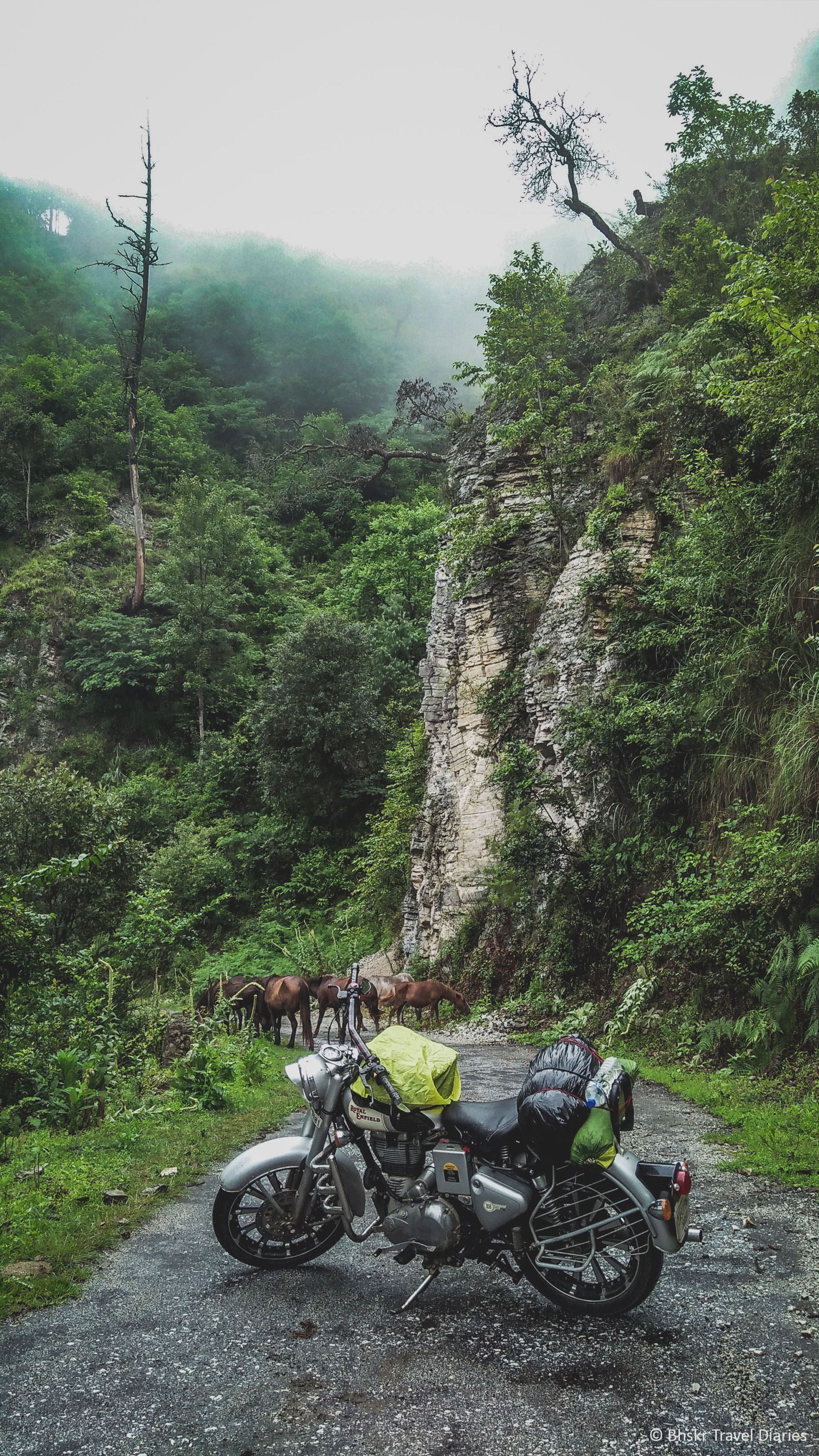 Download Royal Enfield Road Travel Horses Hills Free Pure 4K Ultra