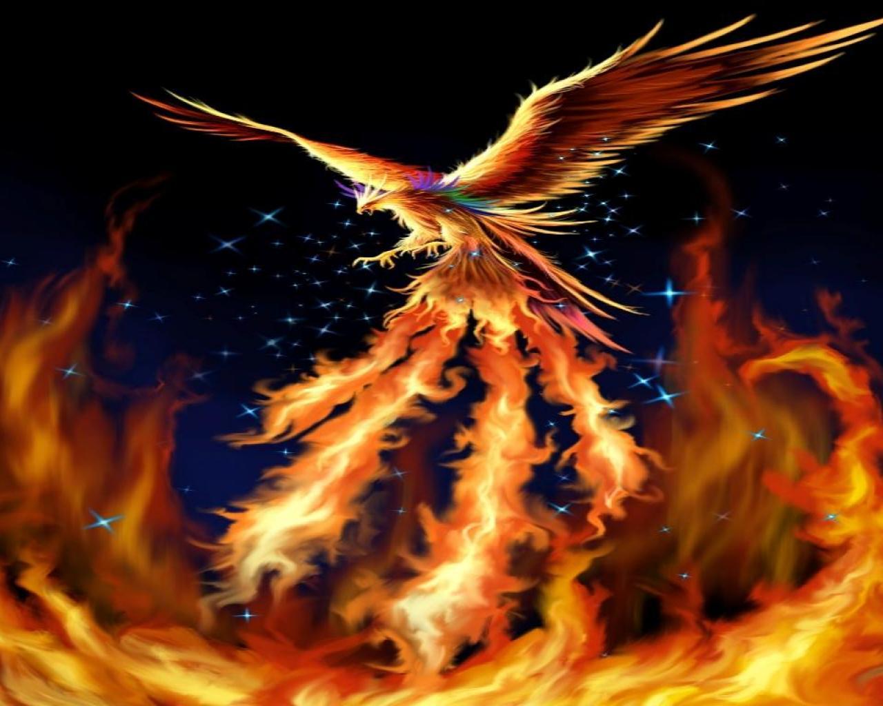 Rise of the Phoenix Wallpaper. Beautiful