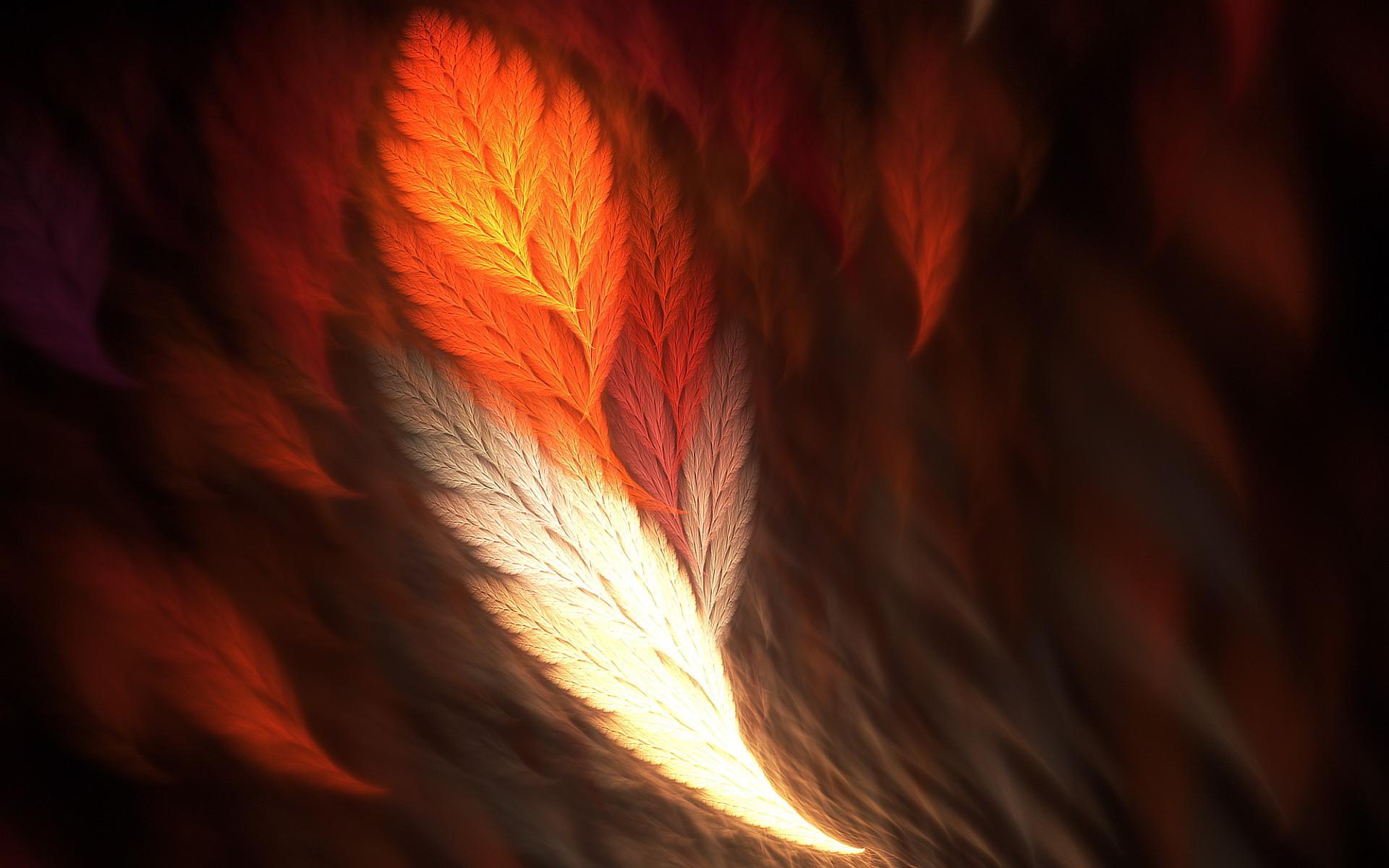 Phoenix Feather Wallpaper