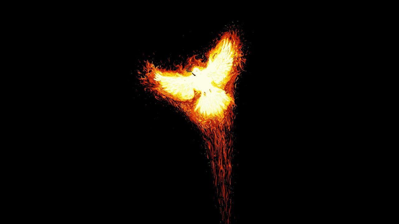 Wallpaper rise, phoenix, myth, fire, bird, phoenix