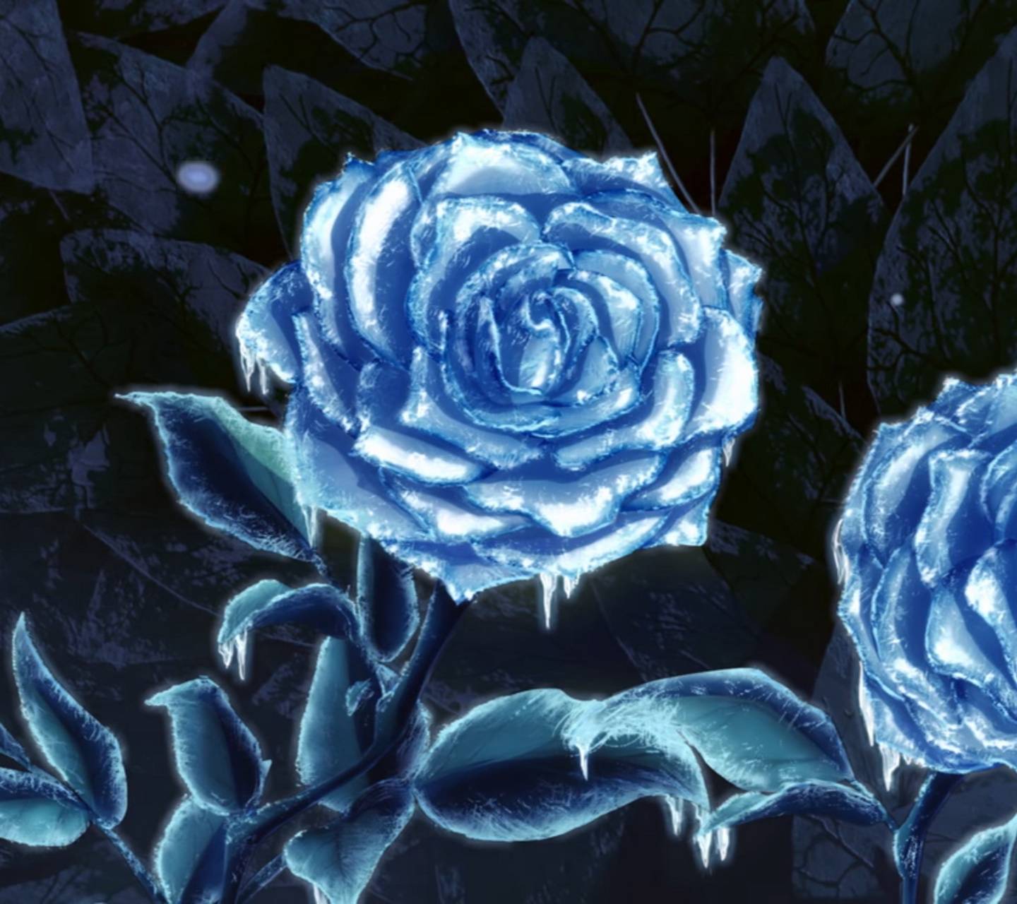 Frost Rose wallpaper