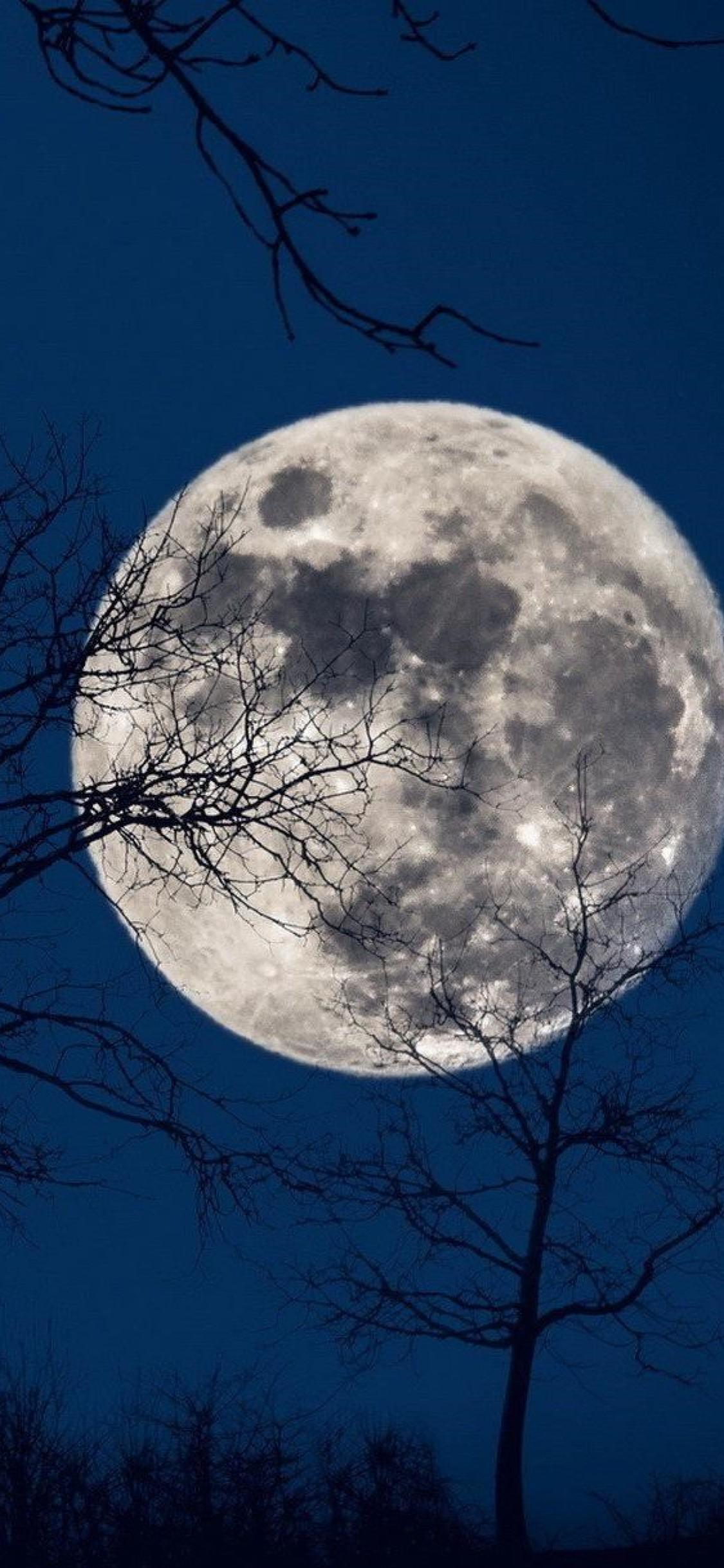 Big Full Moon Night Horizon Scenery 4K Wallpaper #6.937