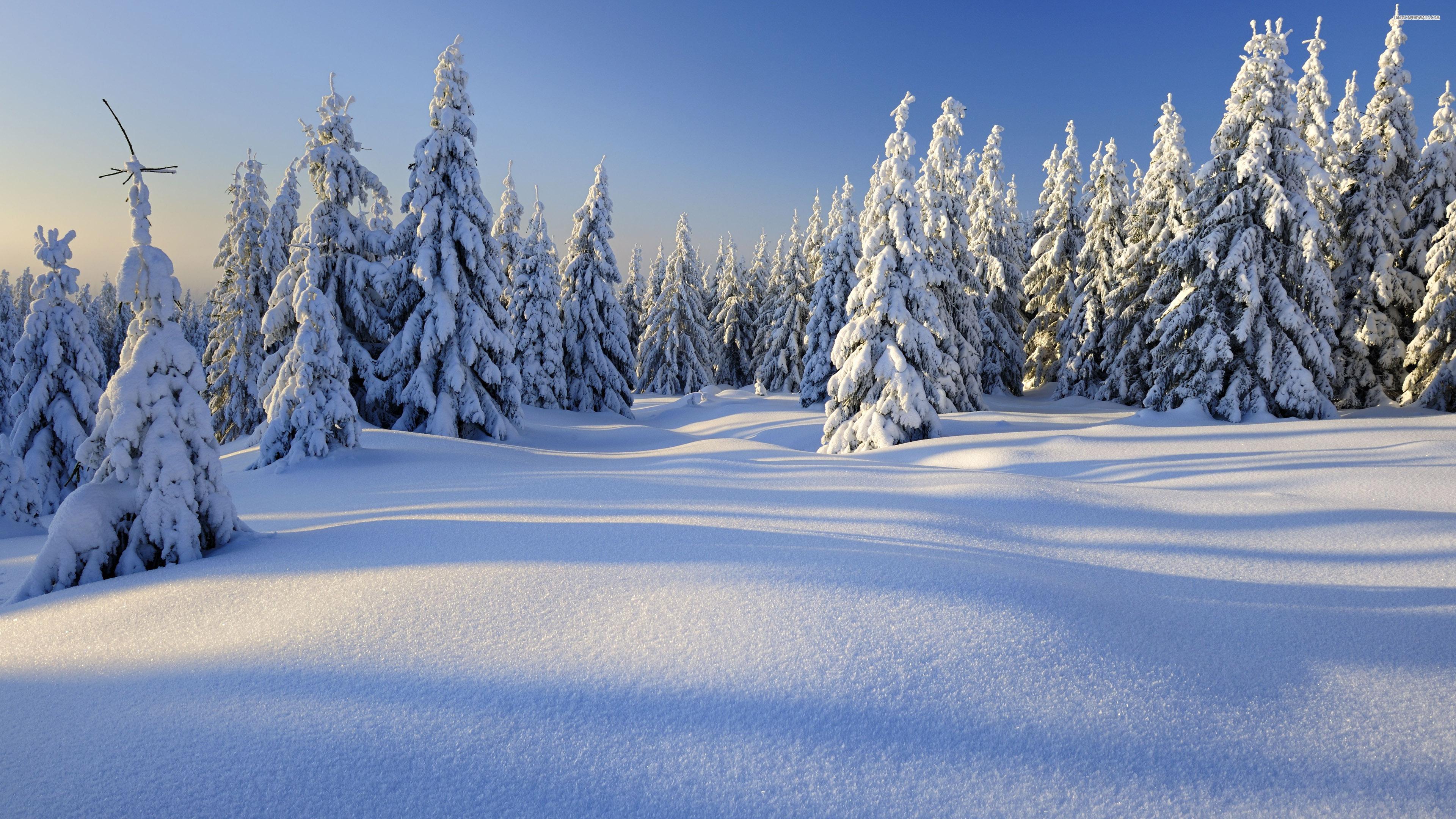 Winter Peace Wallpapers - Wallpaper Cave