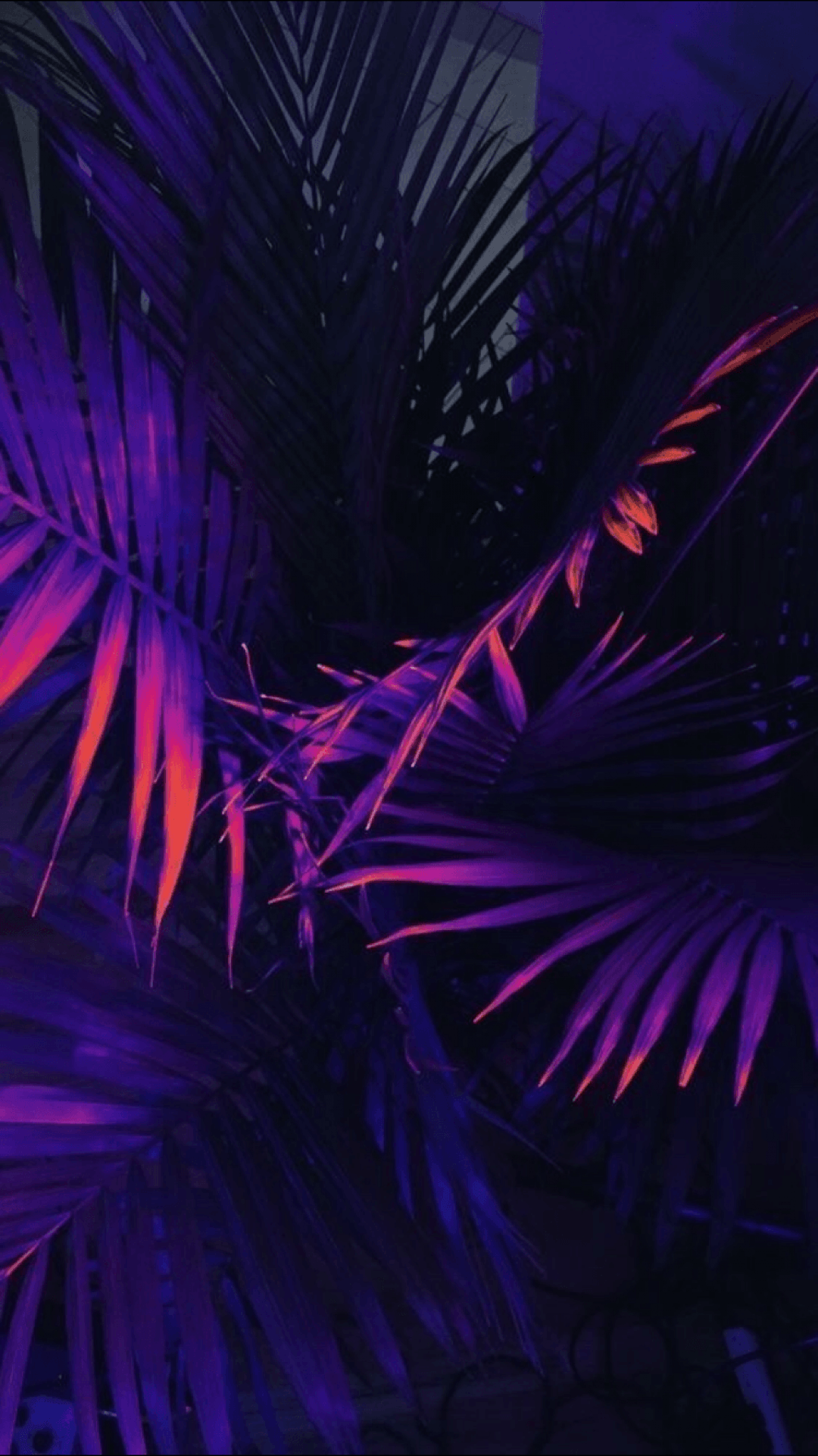 Purple Aesthetic, iPhone, Desktop HD Background