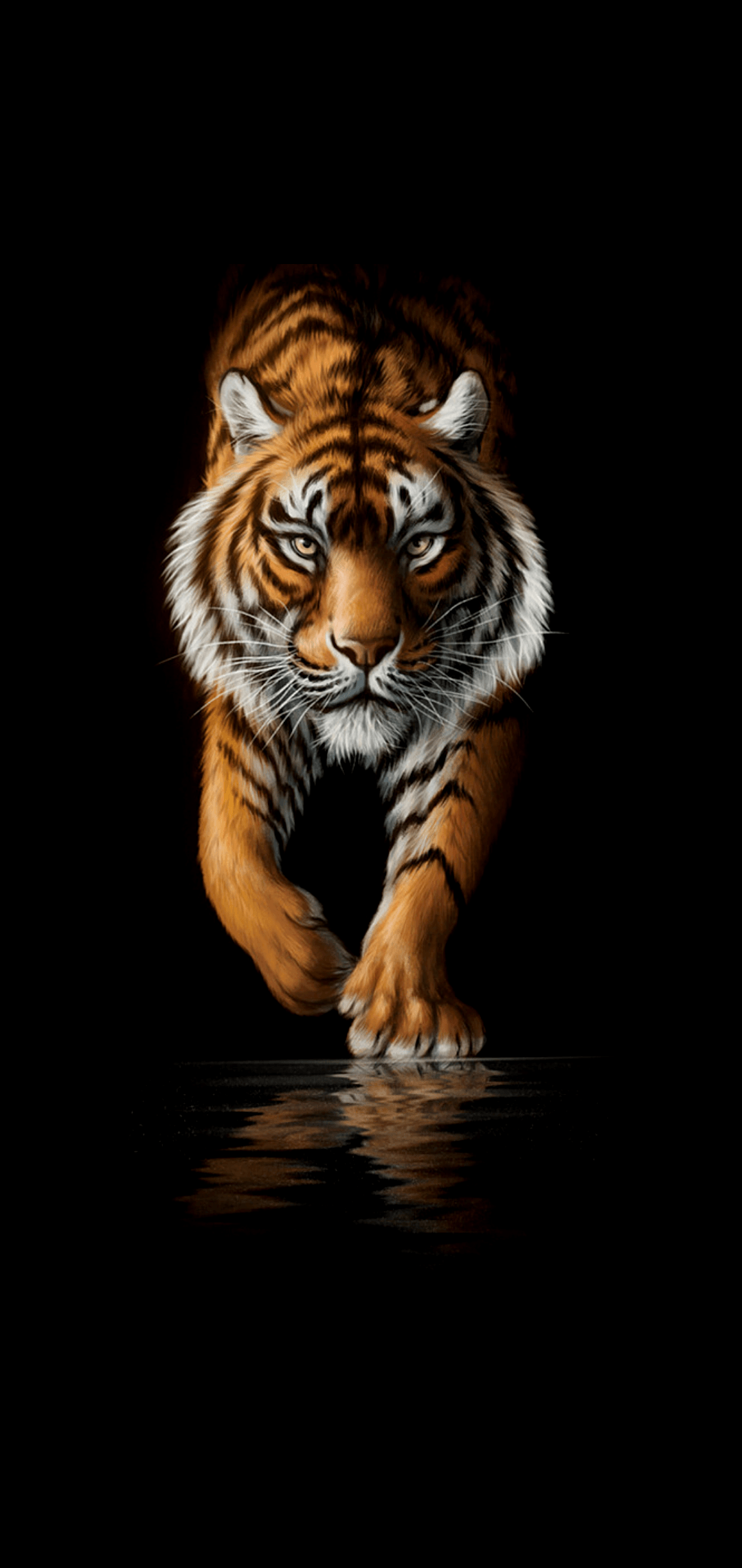 Tiger (1080x2280)