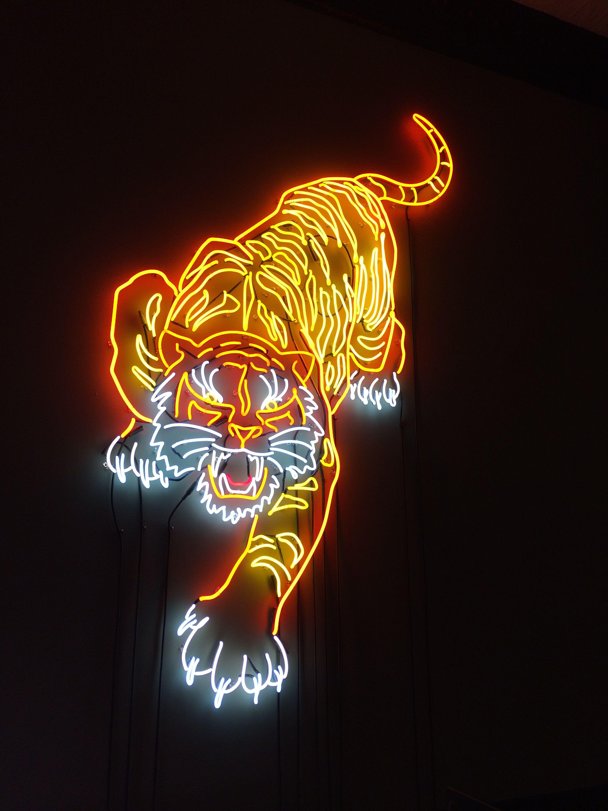Oled Tiger Wallpapers - Wallpaper Cave
