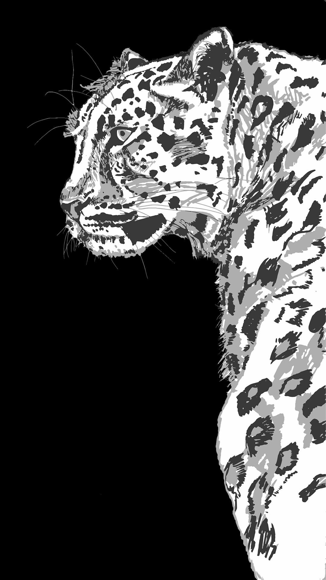 Leopard I drew, thought it'd make a nice wallpaper. (1920x1080)