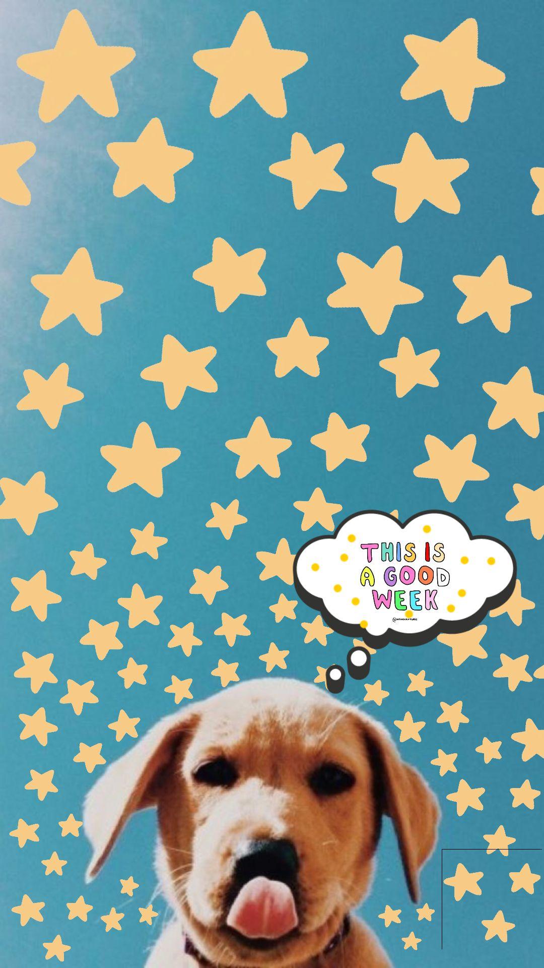 Vsco Puppy Wallpaper