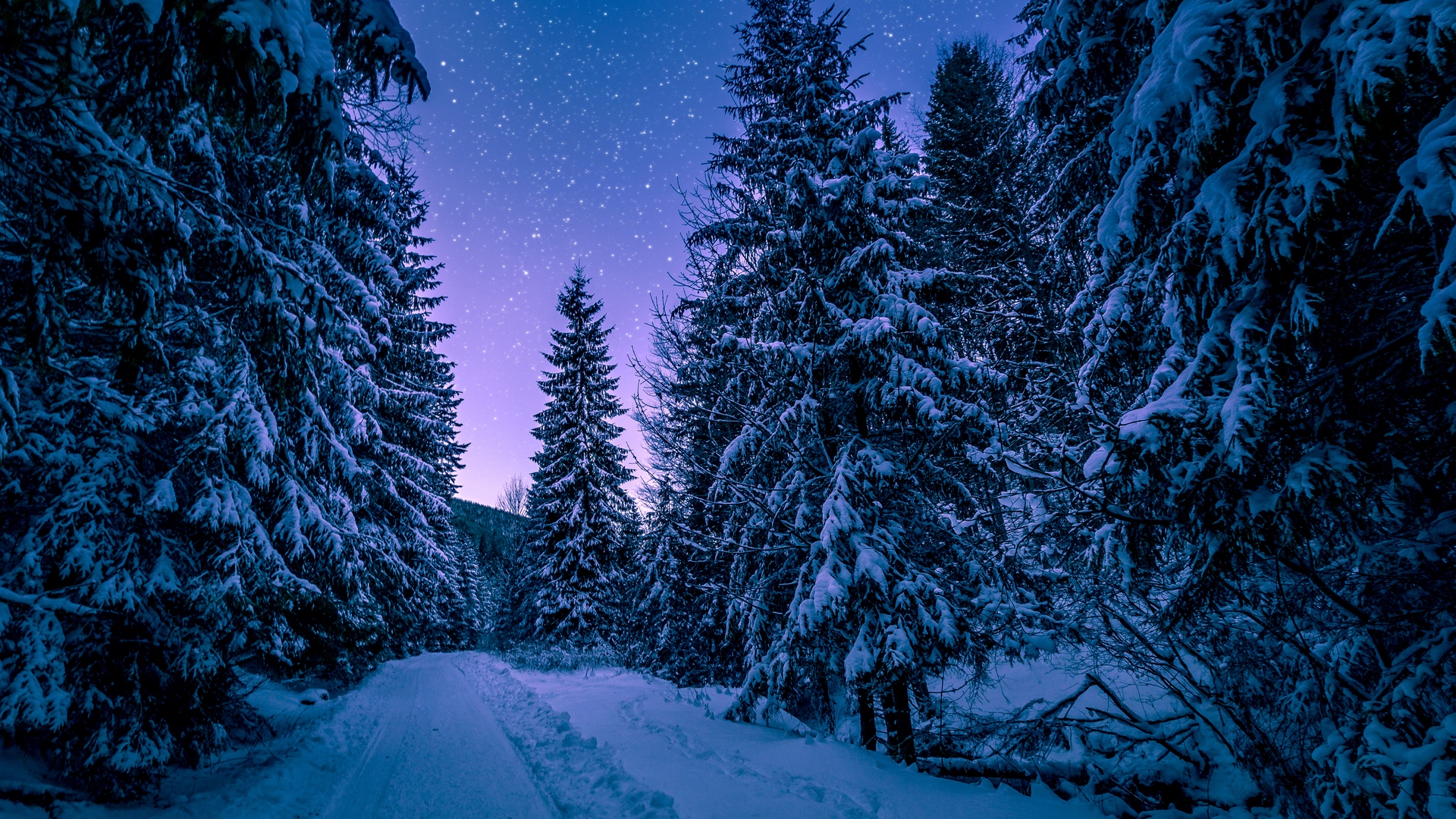 Download wallpaper 1920x1080 winter, forest, road, snow, starry