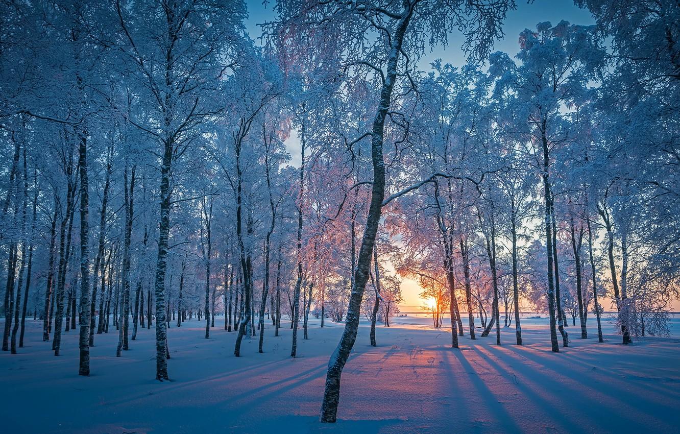 Wallpaper winter, forest, snow, morning image for desktop, section природа