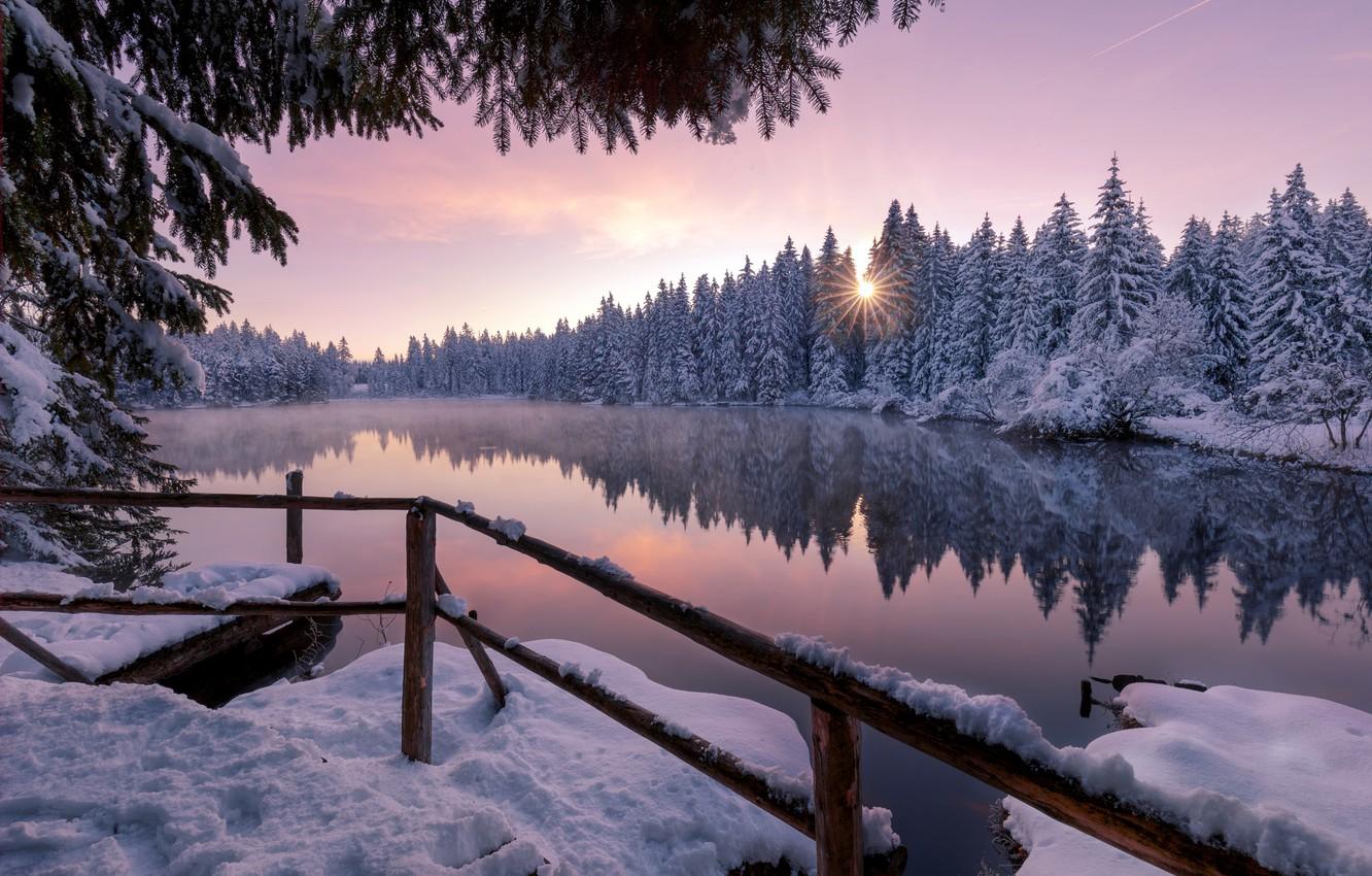 Wallpaper winter, forest, lake image for desktop, section природа