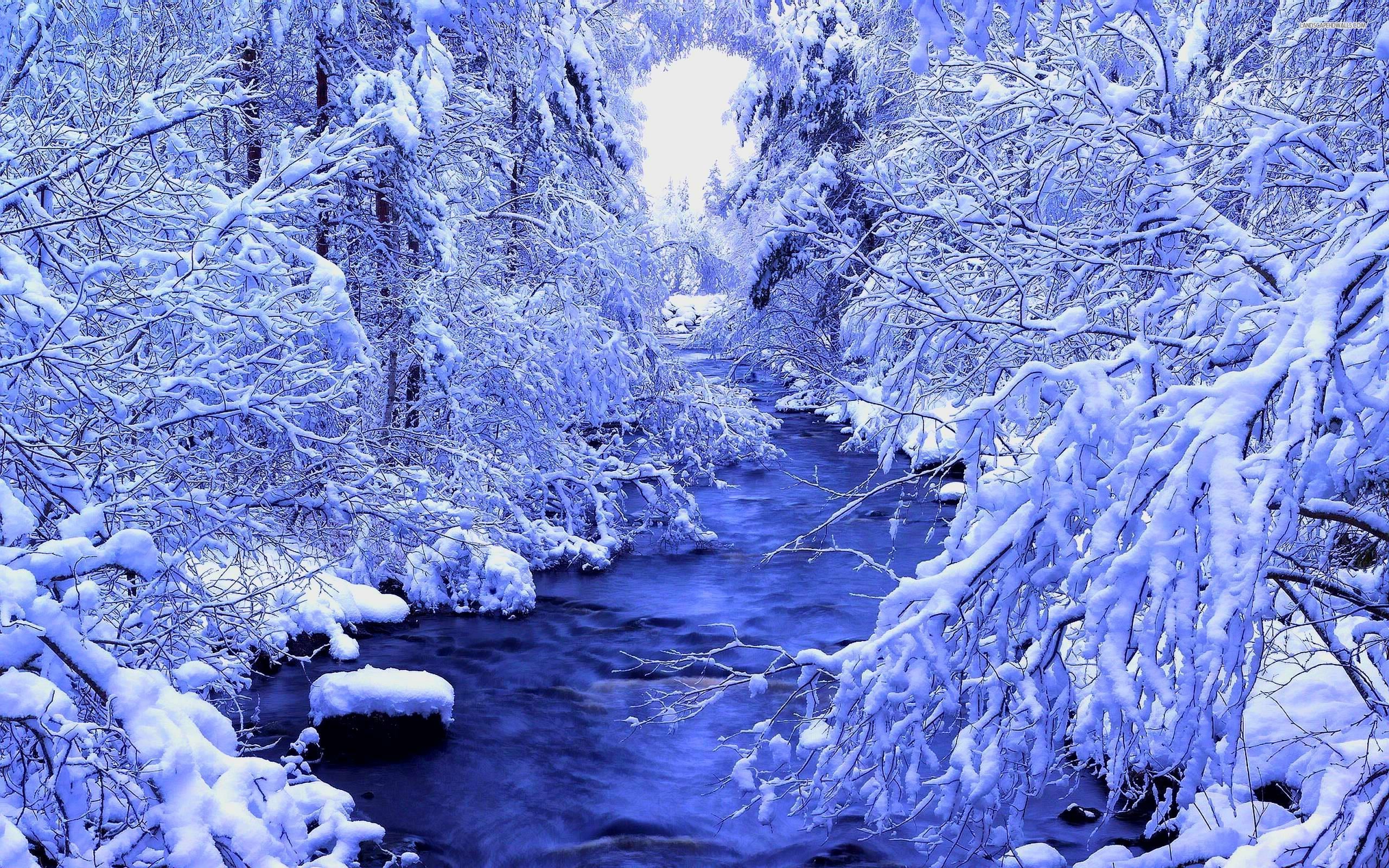 River in winter forest, gallery picture, 2560x1600 p, screen