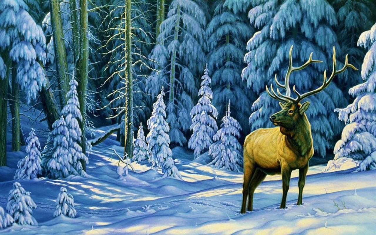 Gallant Deer Winter Forest wallpaper. Gallant Deer Winter Forest