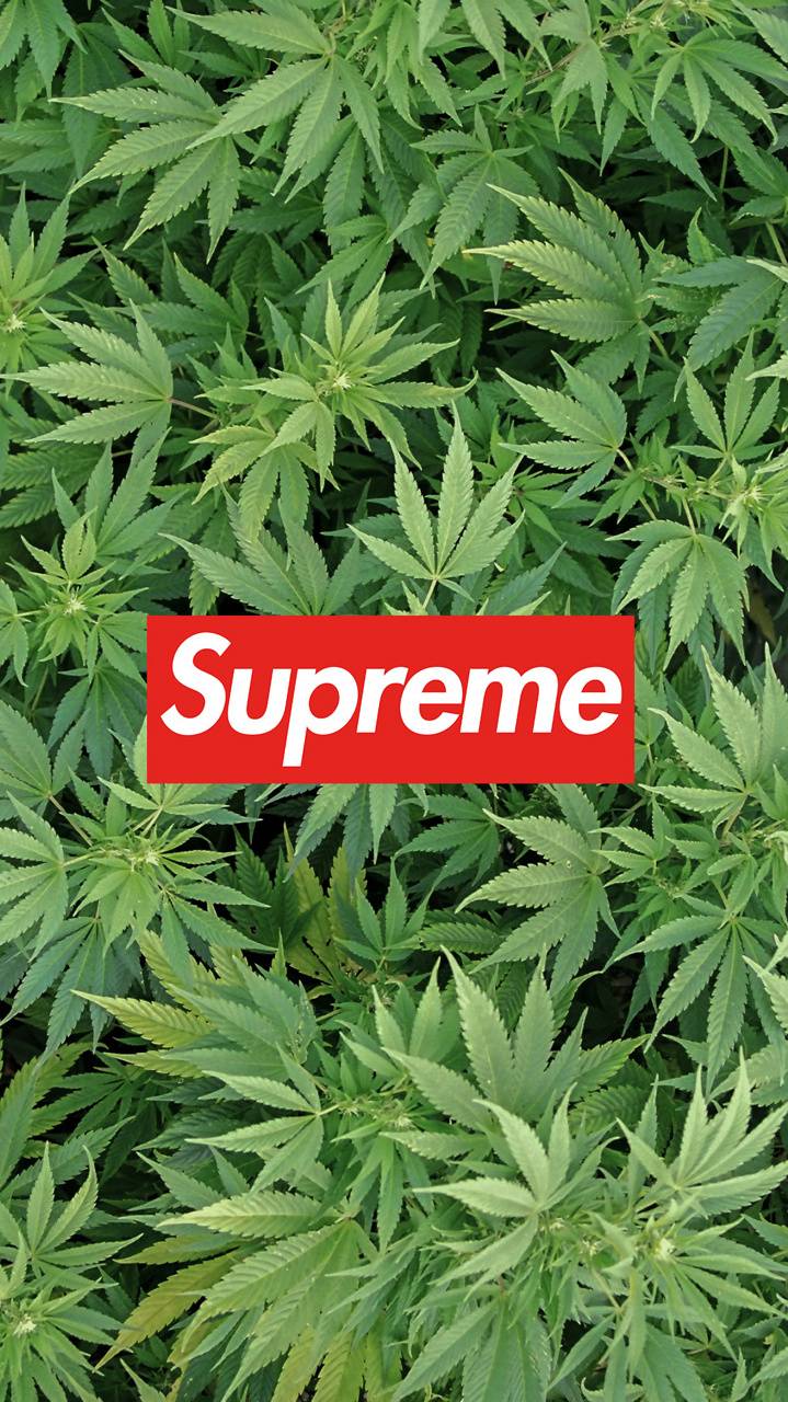 supreme weed wallpaper