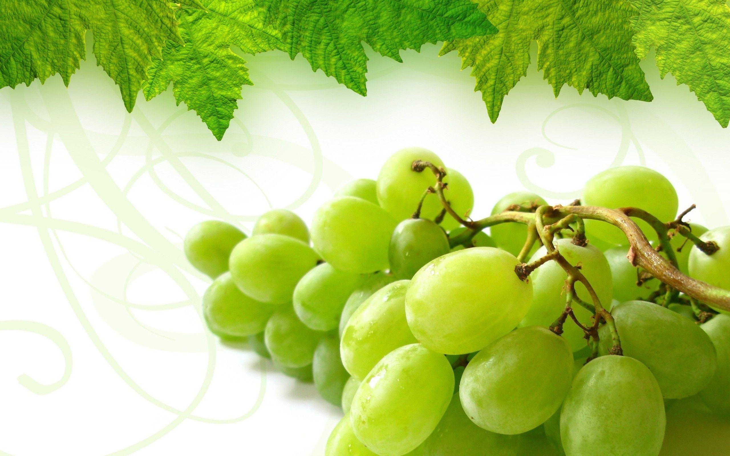Free download grapes HD wallpaper for laptop. Grape wallpaper, HD