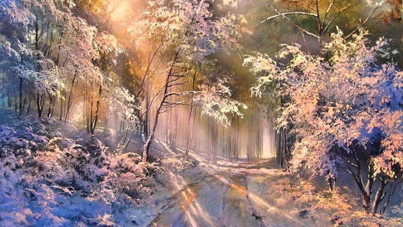 Free download SUNNY WINTER DAY IN THE FOREST WALLPAPER 45874 HD