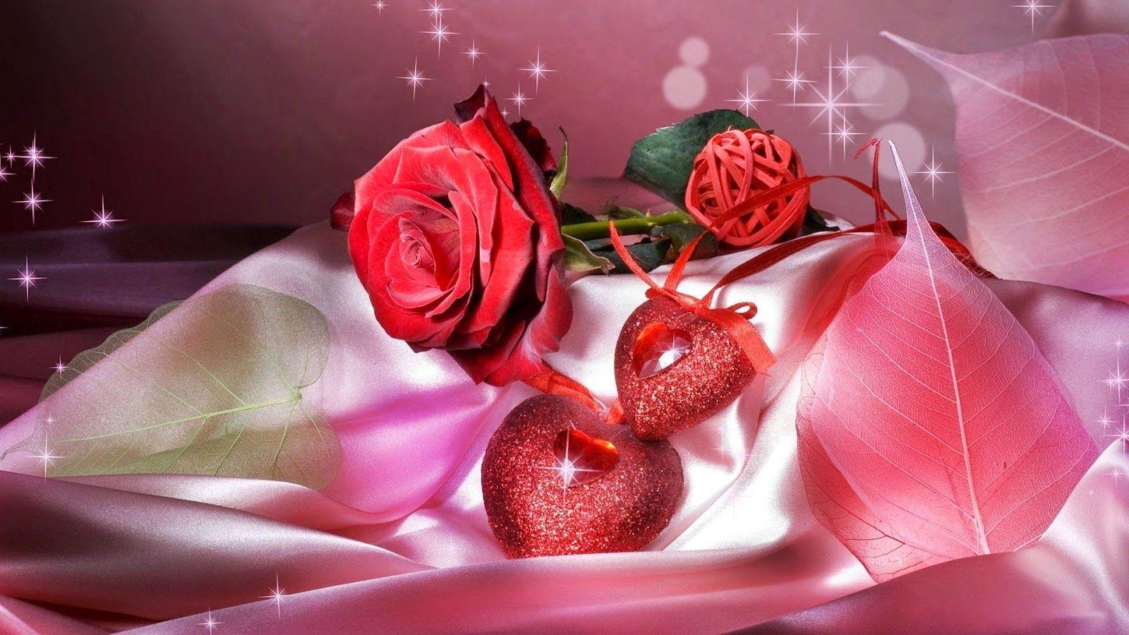 V's day rose gift with love HD wallpaper. Happy rose day