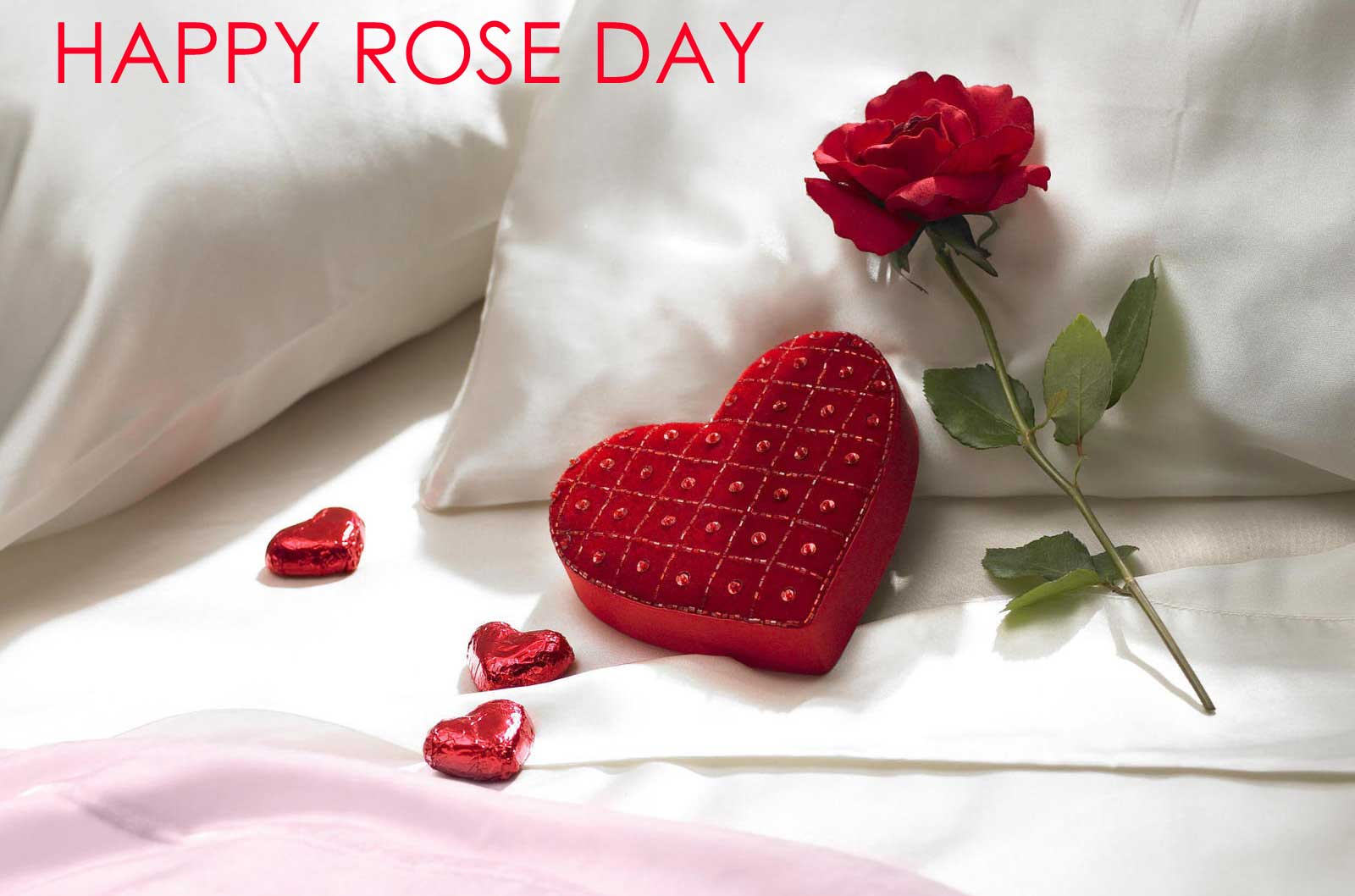 Happy Rose Day Wallpaper Rose Day 2018