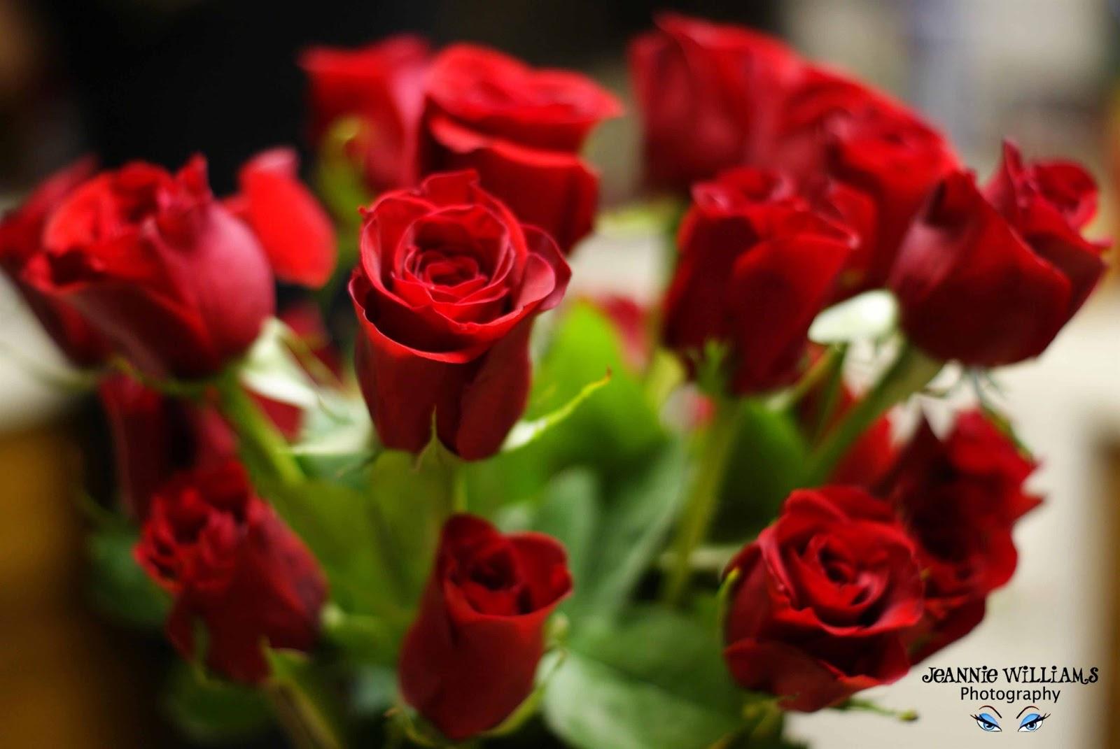 Rose Day Photography HD Wallpapers - Wallpaper Cave