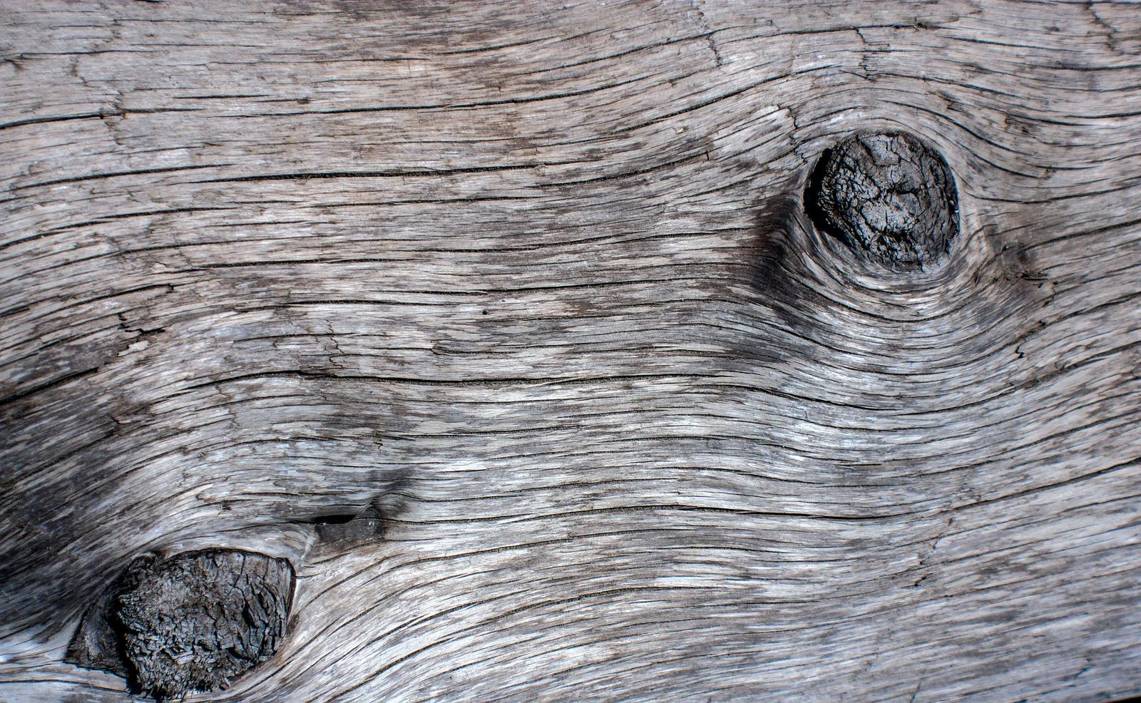 Driftwood - Natural - wallpaper by Borastapeter that looks like timber