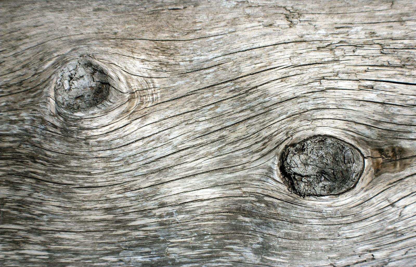 Driftwood Wallpaper