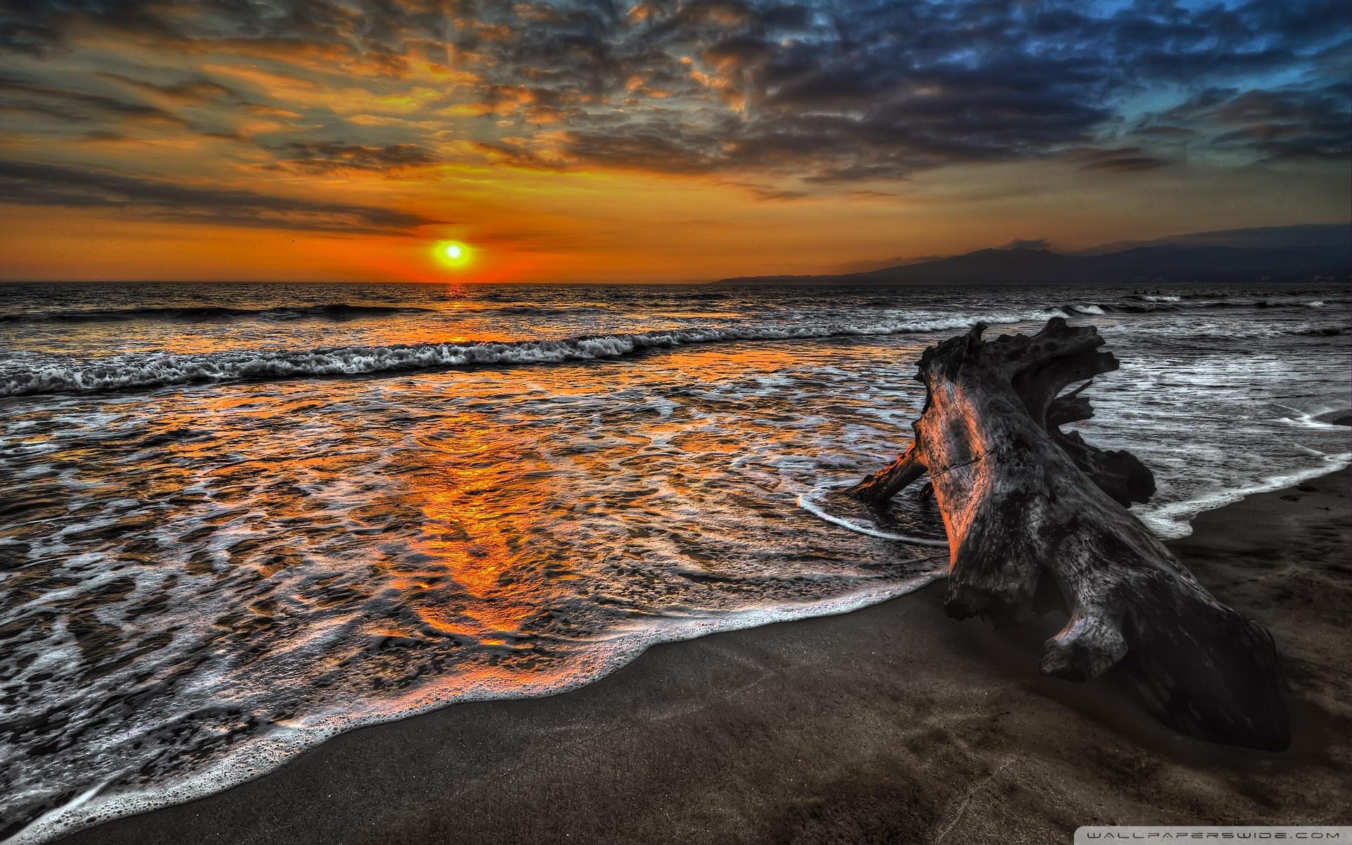 Driftwood Ultra HD Desktop Background Wallpaper for 4K UHD TV