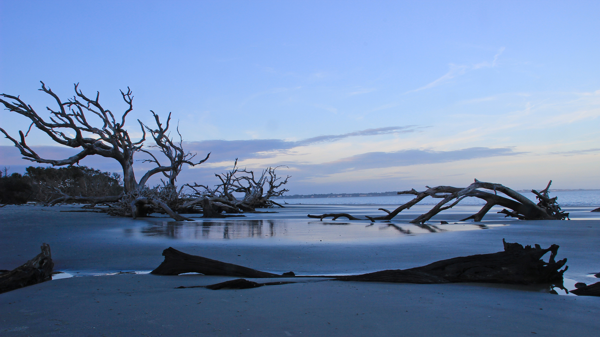 Driftwood Wallpaper. Driftwood Awesome Photo Collection