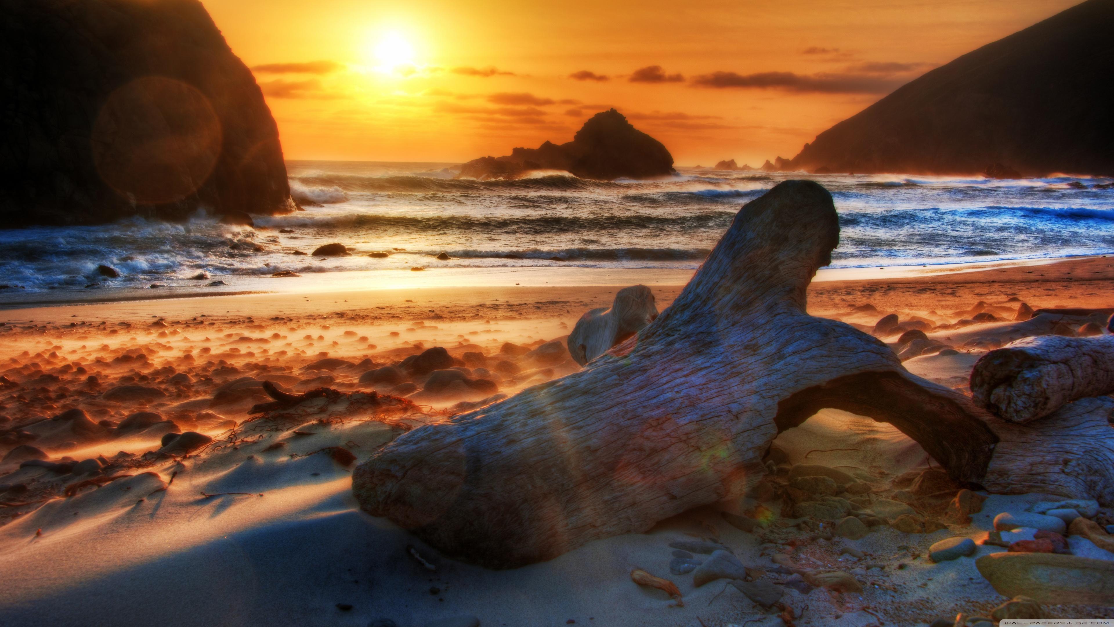 Driftwood Wallpapers - Wallpaper Cave