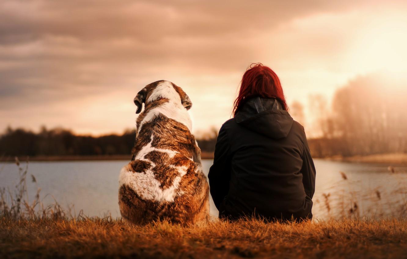Wallpaper girl, sunset, dog, moody, best friend image for desktop