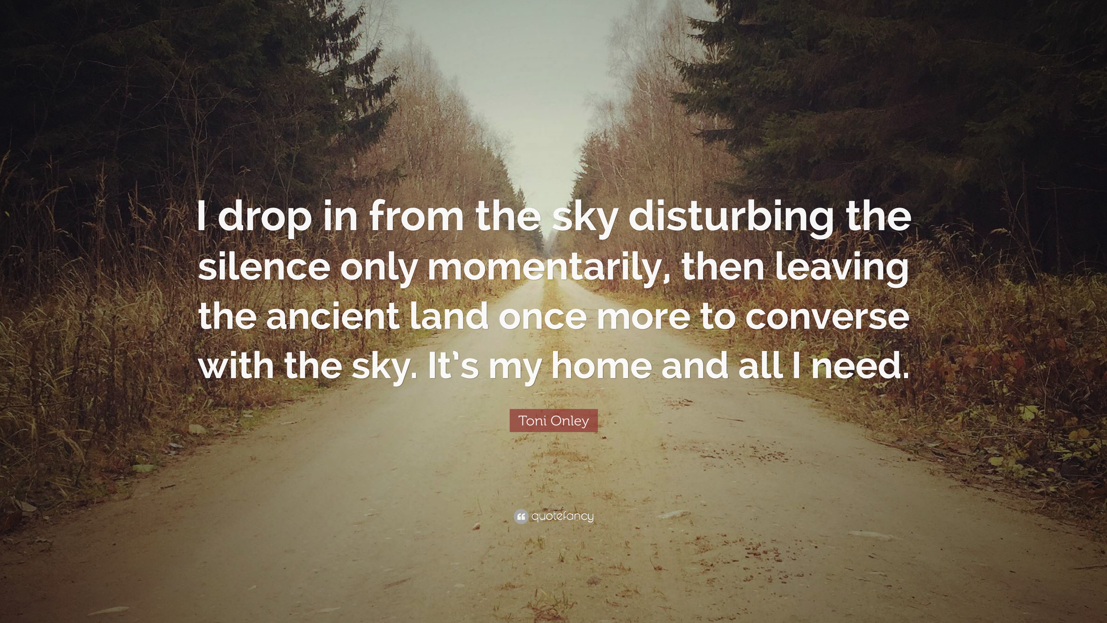 Toni Onley Quote: “I drop in from the sky disturbing the silence